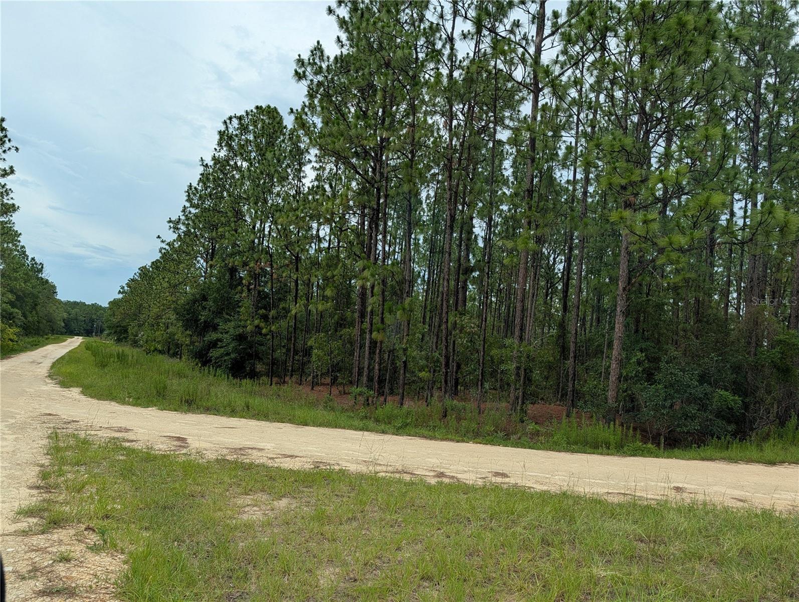 Land for sale at SW Tbd 125th Ct Rd, OCALA, FL 34481 | MLS# OM732568