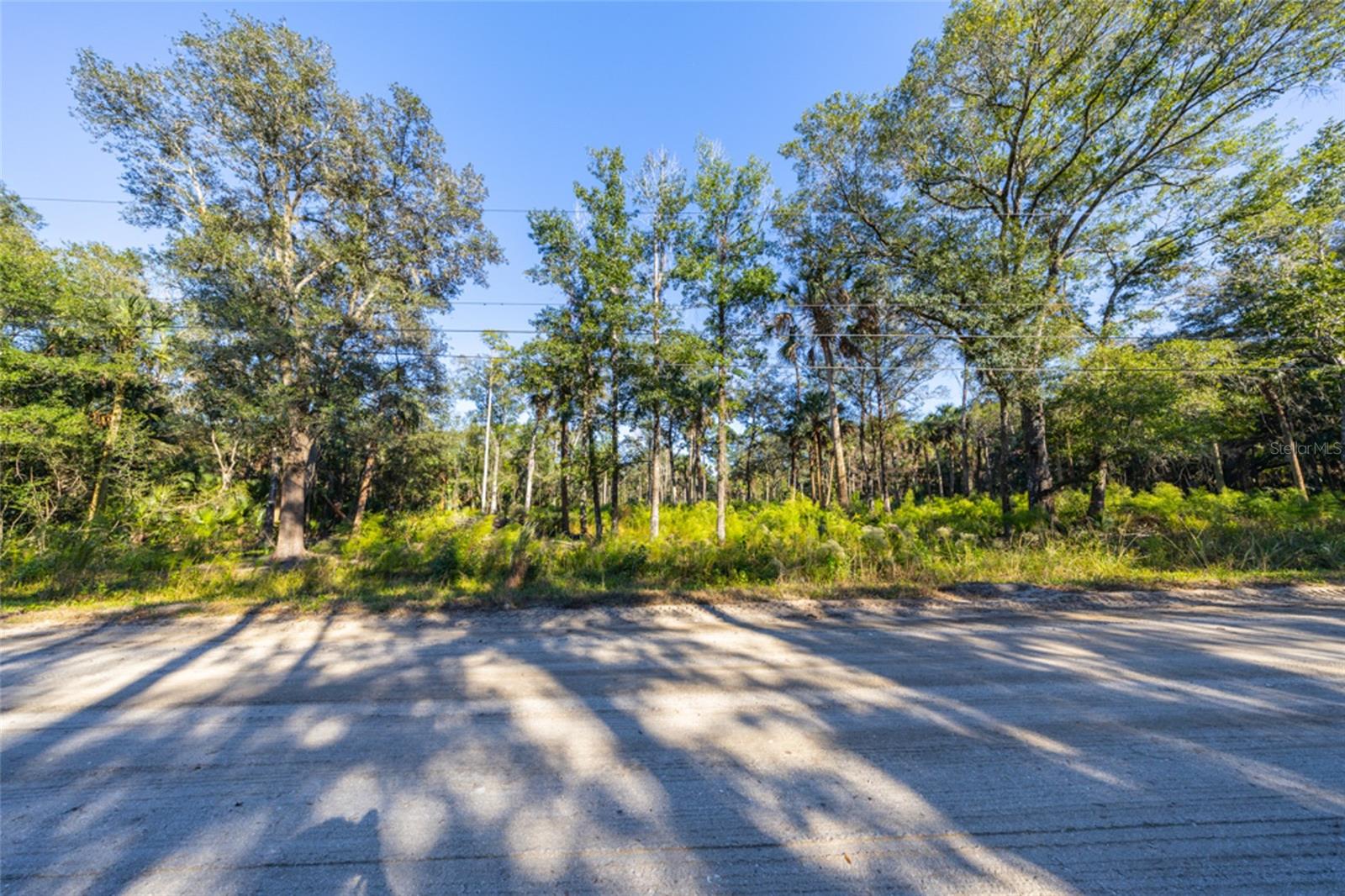 Land for sale at 2075 Bayberry St, BUNNELL, FL 32110 | MLS# FC322253