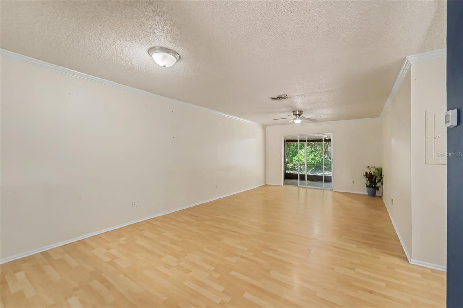 Photo 4 of House for sale at 1443 & 1445 Giles Ave, Spring Hill, FL 34608 | MLS# TB8561336 | Listing updated on 2026-10-26