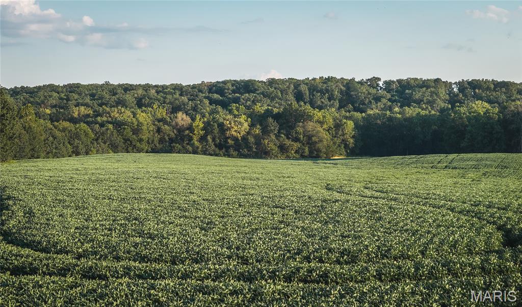 Photo 3 of Sale Pending at Tbd N 2200th Avenue, Clayton, IL 62324 | MLS# MIS26056008 | Listing updated on 2026-09-21
