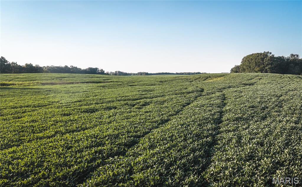 Photo 4 of Sale Pending at Tbd N 2200th Avenue, Clayton, IL 62324 | MLS# MIS26056008 | Listing updated on 2026-09-21