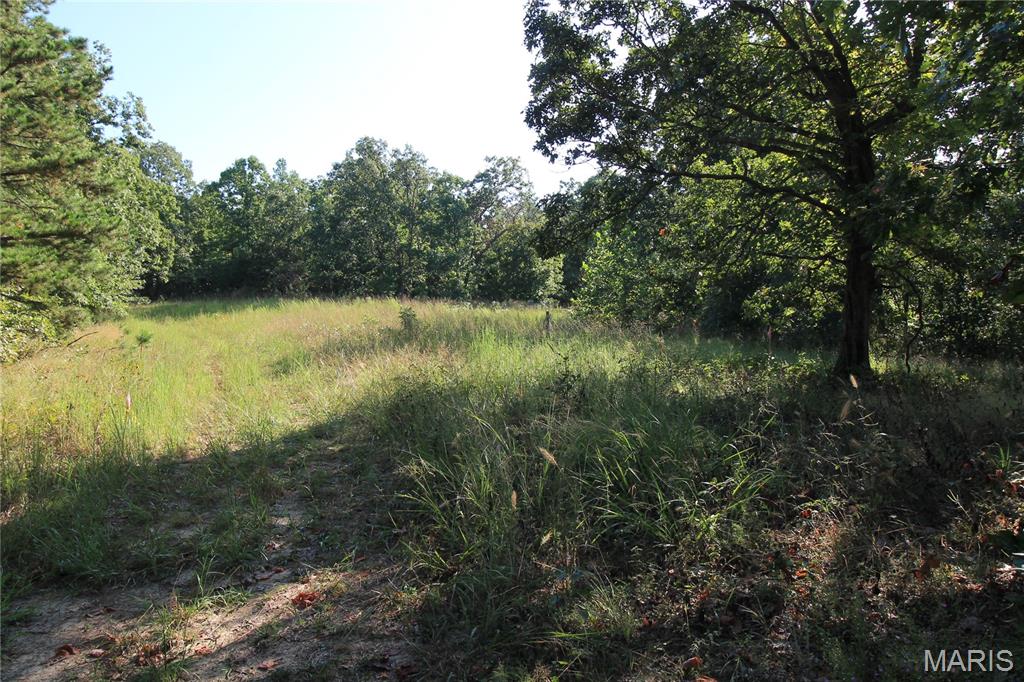 Photo 4 of Land for sale at 000 Coldwater Creek_lot 20, Womack, MO 63645 | MLS# MIS26061715 | Listing updated on 2026-09-24