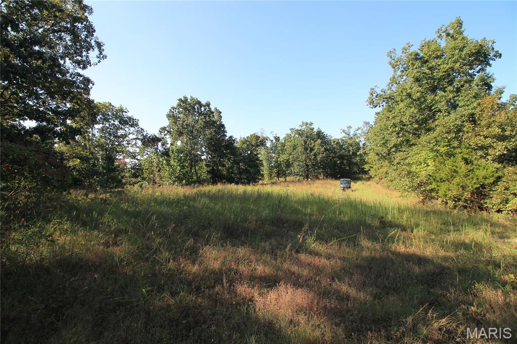 Photo 3 of Land for sale at 000 Coldwater Creek Lot 20, Womack, MO 63645 | MLS# MIS26061715 | Listing updated on 2026-09-24
