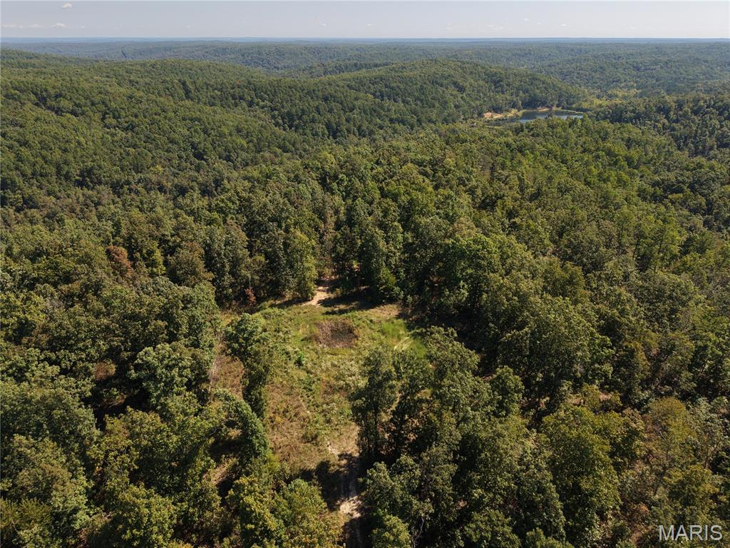 Photo 1 of Land for sale at 000 Coldwater Creek Lot 21, Womack, MO 63645 | MLS# MIS26061716 | Listing updated on 2026-09-24