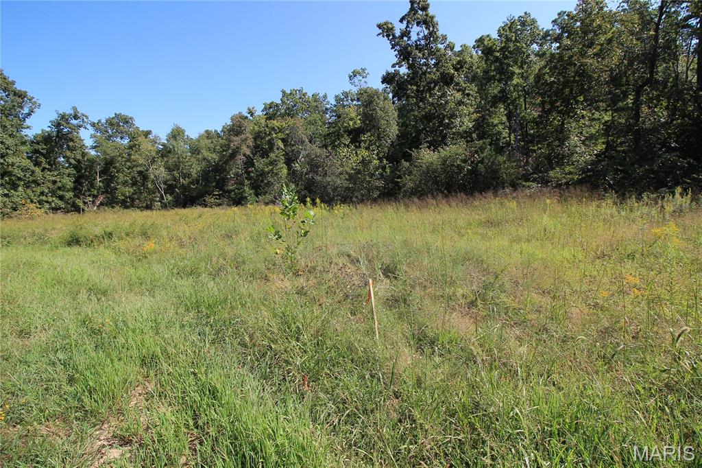 Photo 3 of Land for sale at 000 Coldwater Creek_lot 21, Womack, MO 63645 | MLS# MIS26061716 | Listing updated on 2026-09-24