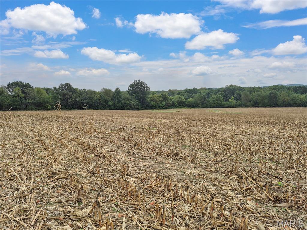 Photo 3 of House for sale at 0 Hwy B (tract A 1060+/ Acres), Elsberry, MO 63343 | MLS# MIS26063570 | Listing updated on 2026-10-07
