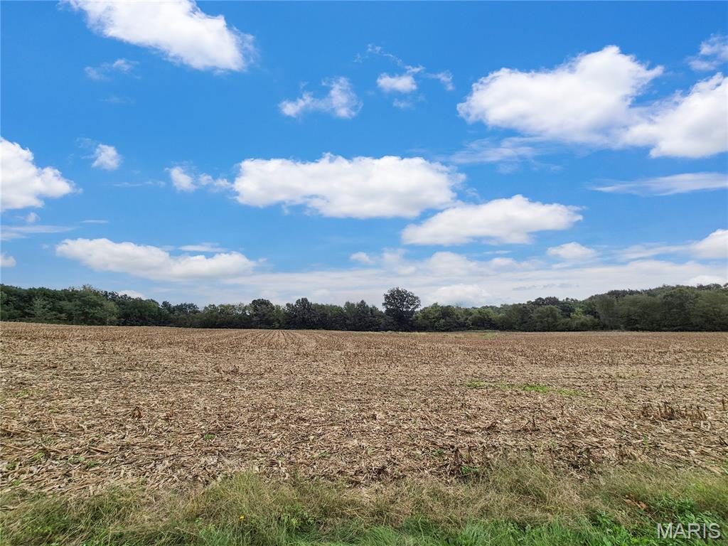 Photo 4 of House for sale at 0 Hwy B (tract A 1060+/ Acres), Elsberry, MO 63343 | MLS# MIS26063570 | Listing updated on 2026-10-07