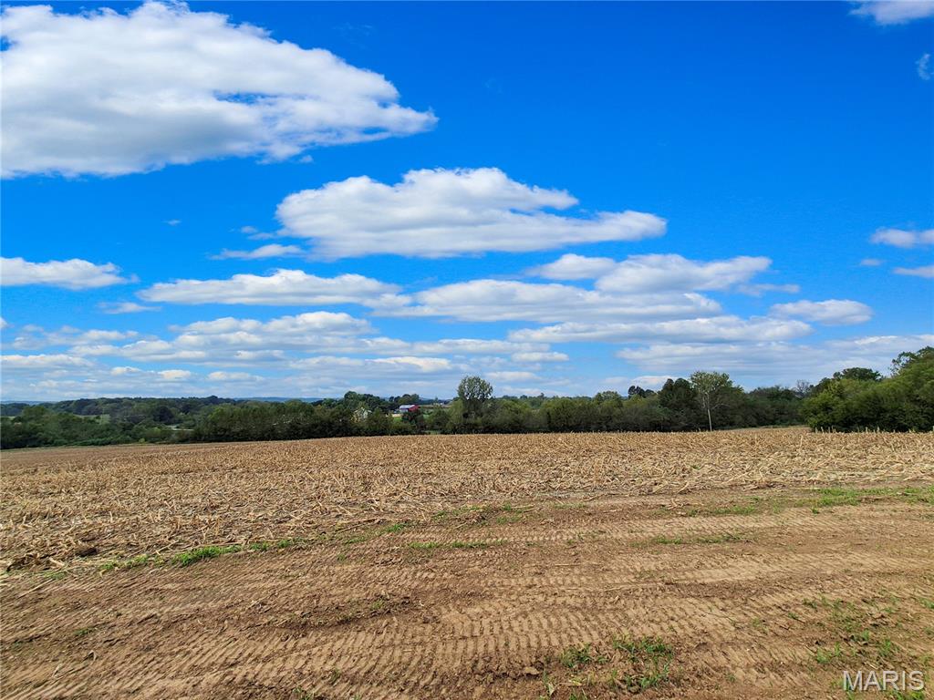 Photo 3 of House for sale at 0 Hwy B (tract 17+/ Acres), Elsberry, MO 63343 | MLS# MIS26063613 | Listing updated on 2026-10-07