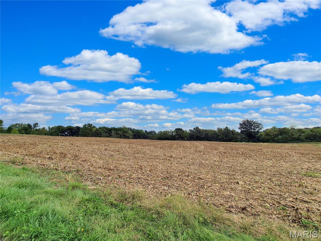 Photo 1 of House for sale at 0 Hwy B (tract 17+/ Acres), Elsberry, MO 63343 | MLS# MIS26063613 | Listing updated on 2026-10-07