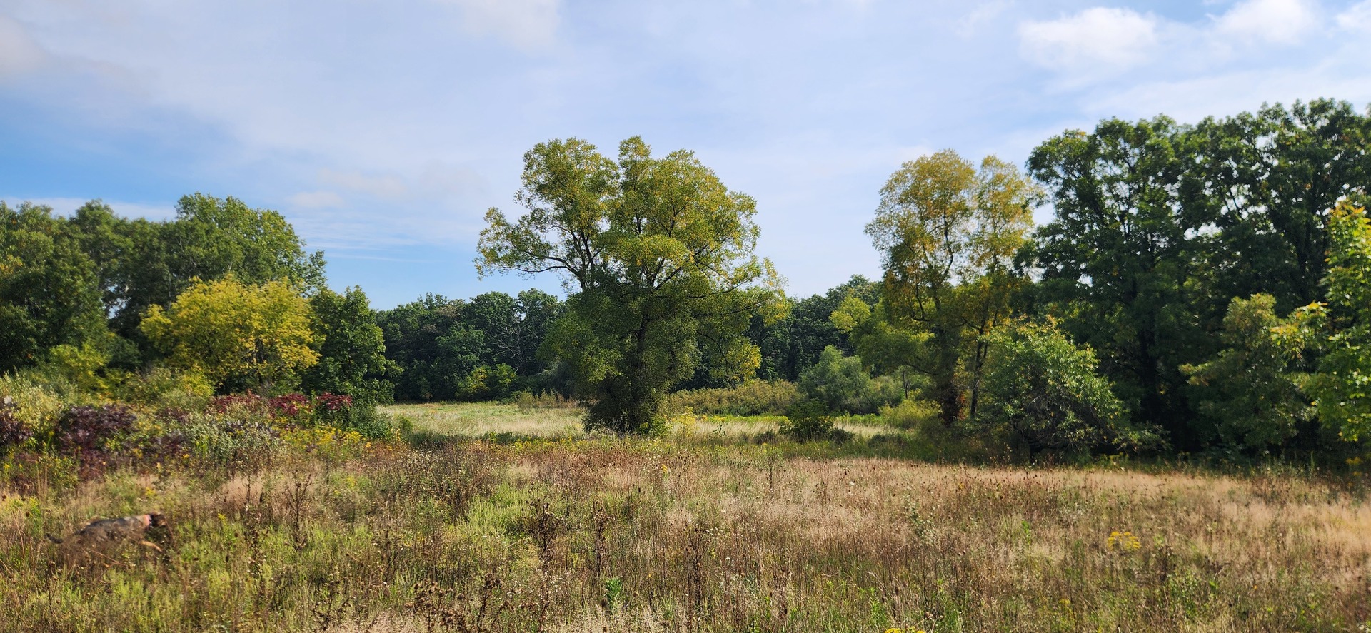 Photo 3 of Land for sale at 42751 N Sheridan Oaks Dr, Antioch, IL 60002 | MLS# 12765154 | Listing updated on 2026-09-24