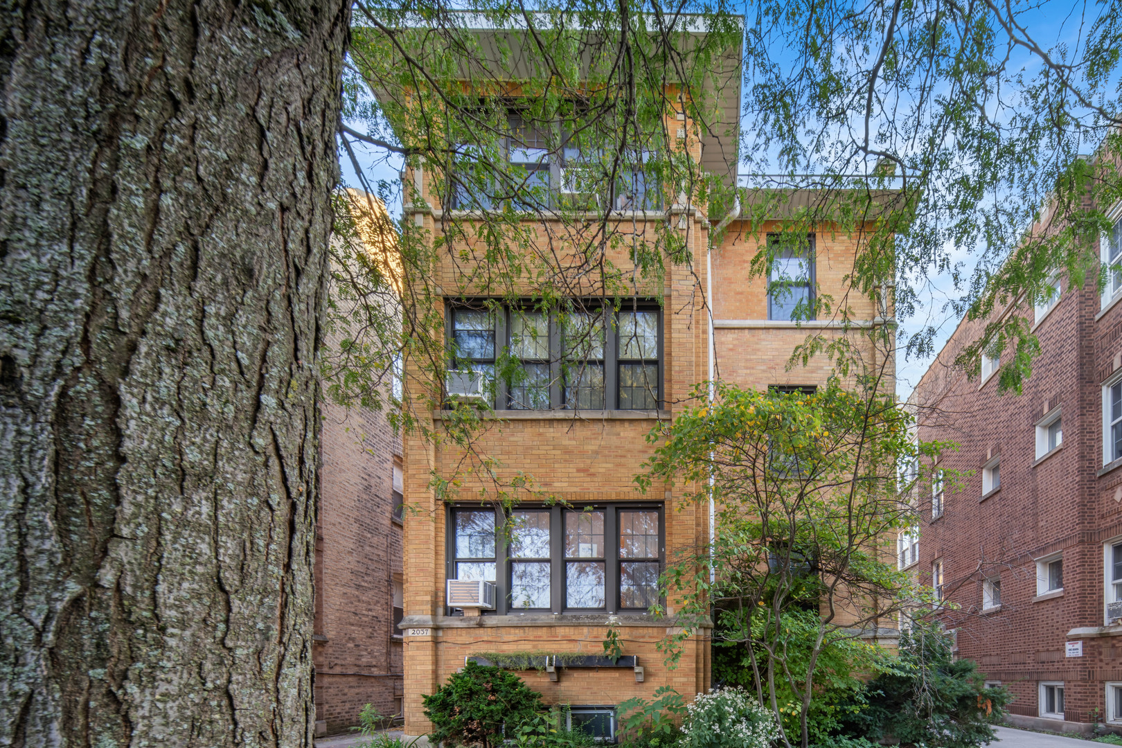 2037 W Morse Ave, 2037 W Morse Ave, Chicago, IL 60645