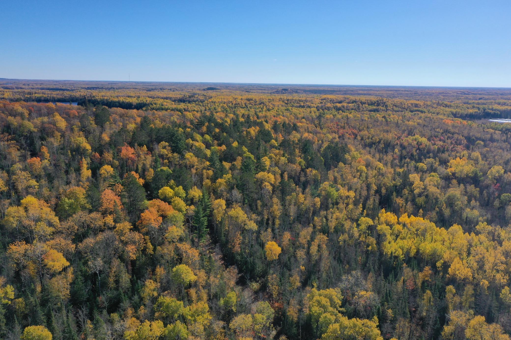 Photo 3 of Land for sale at Tbd French Rd, Chisholm, MN 55719 | MLS# 6805686 | Listing updated on 2026-09-24