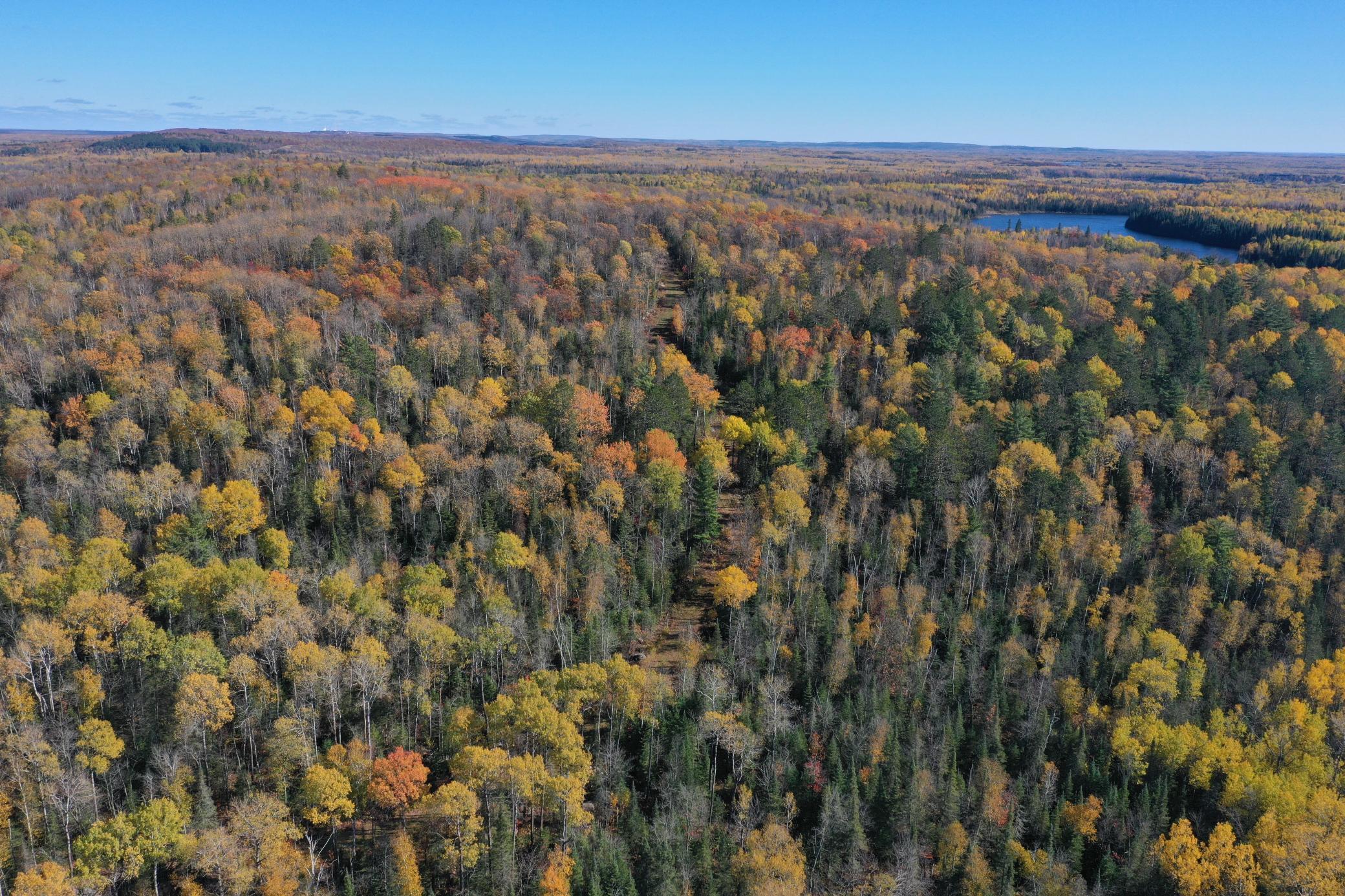 Photo 3 of Land for sale at Tbd French Rd, Chisholm, MN 55719 | MLS# 6805686 | Listing updated on 2026-09-24