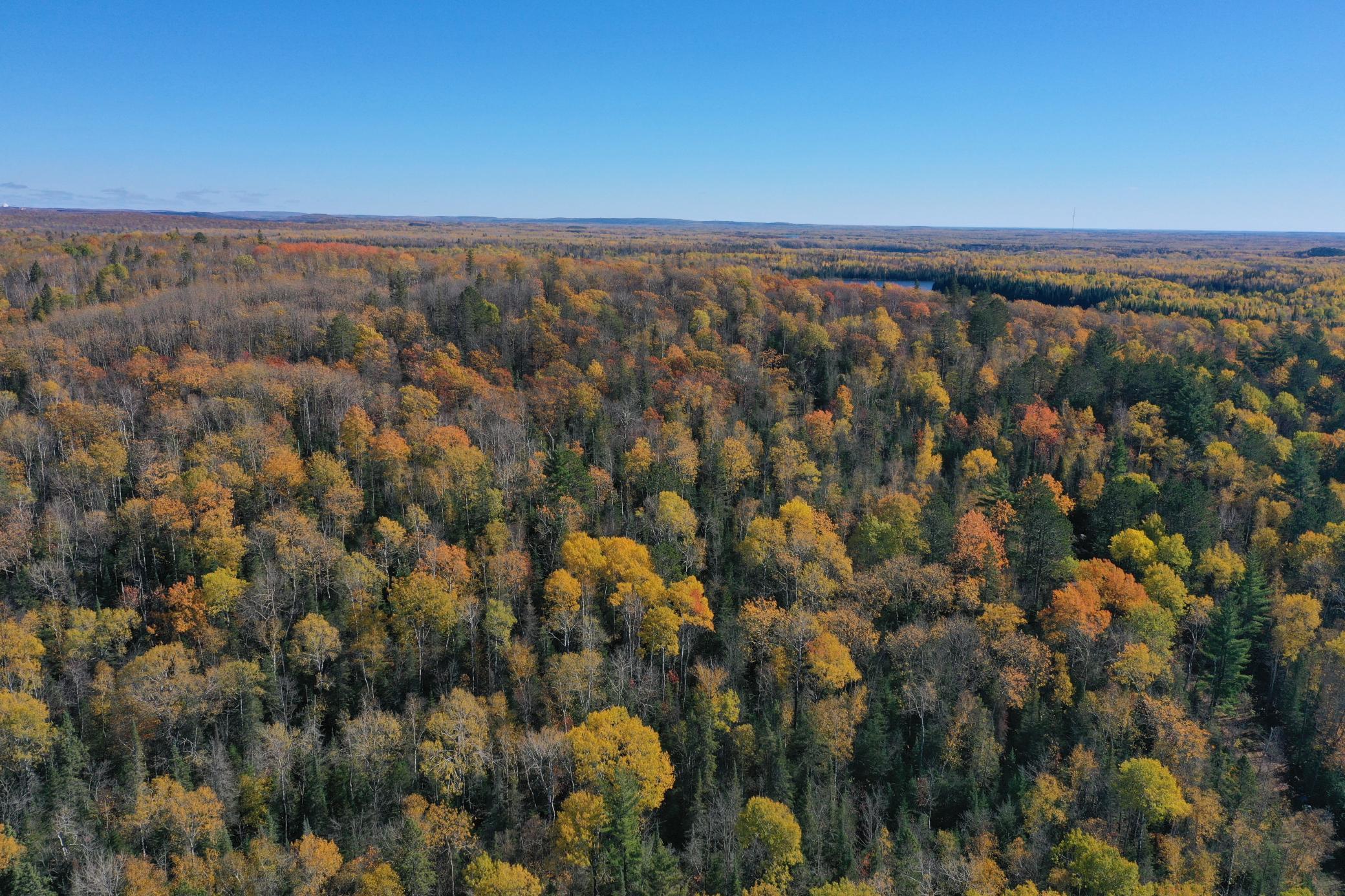 Photo 1 of Land for sale at Tbd French Rd, Chisholm, MN 55719 | MLS# 6805686 | Listing updated on 2026-09-24
