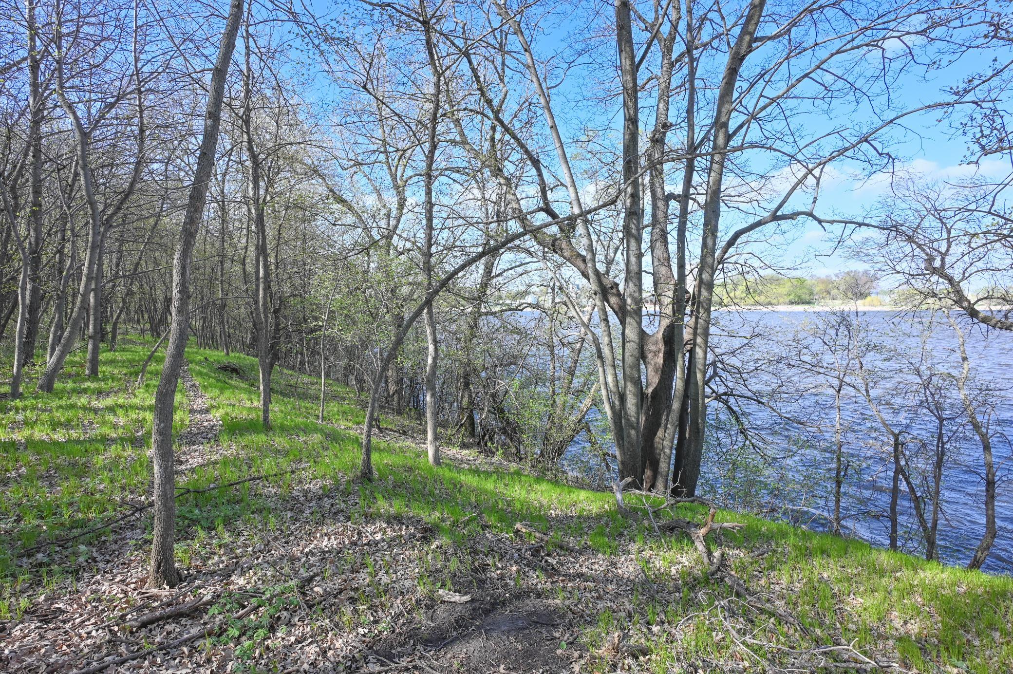 Land for sale at 11115 350th Avenue, Farwell, MN 56327 | MLS# 7042475