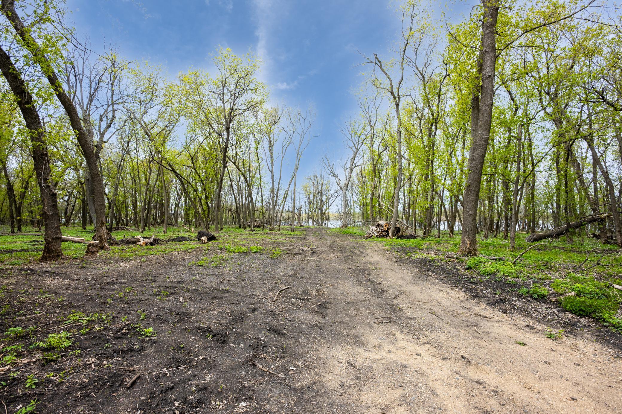 Photo 3 of Land for sale at 11115 350th Avenue, Farwell, MN 56327 | MLS# 7042475 | Listing updated on 2026-09-21