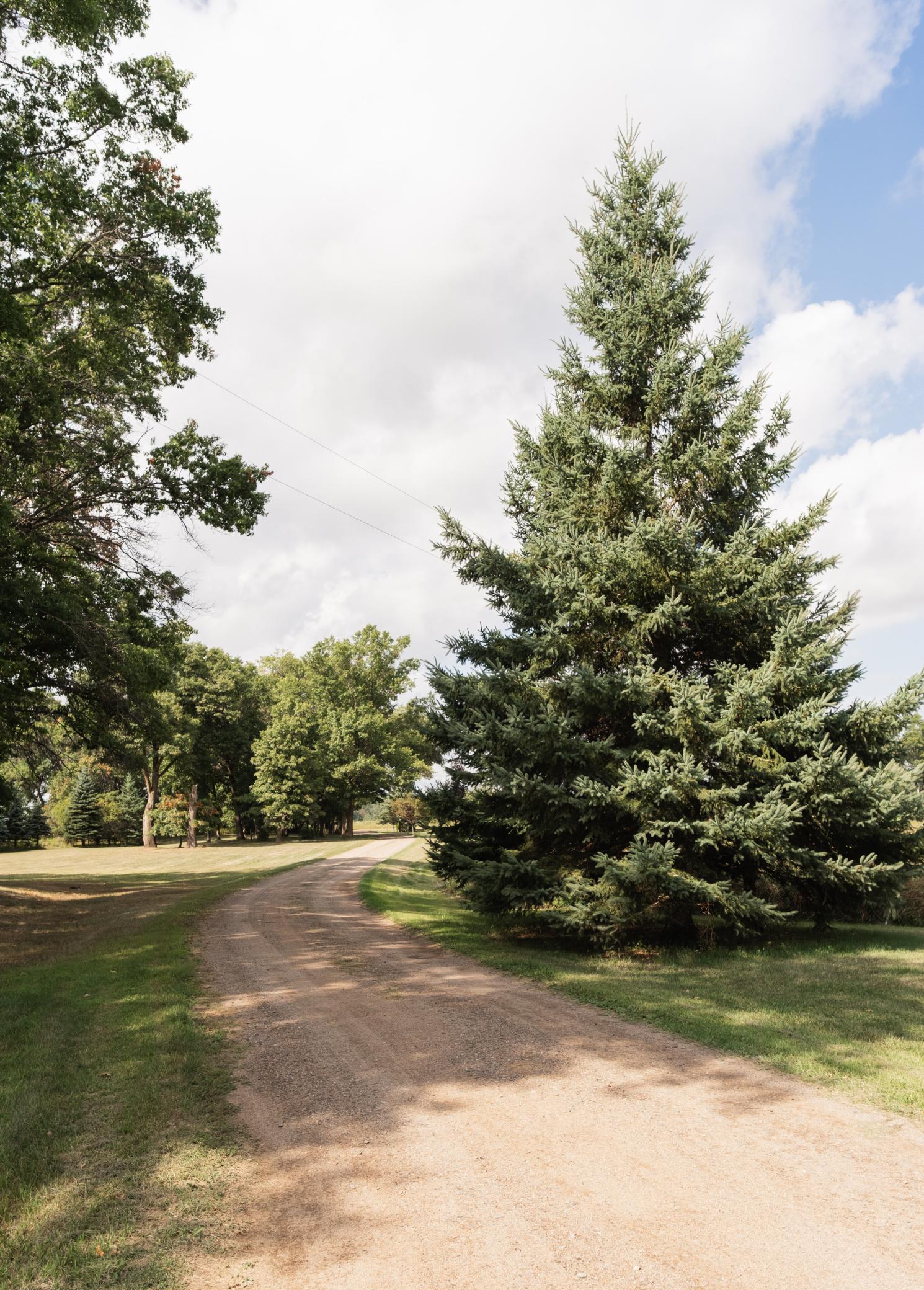 Photo 4 of Single family home for sale at 15777 Harness Rd, Little Falls, MN 56345 | MLS# 7137052 | Listing updated on 2026-09-21