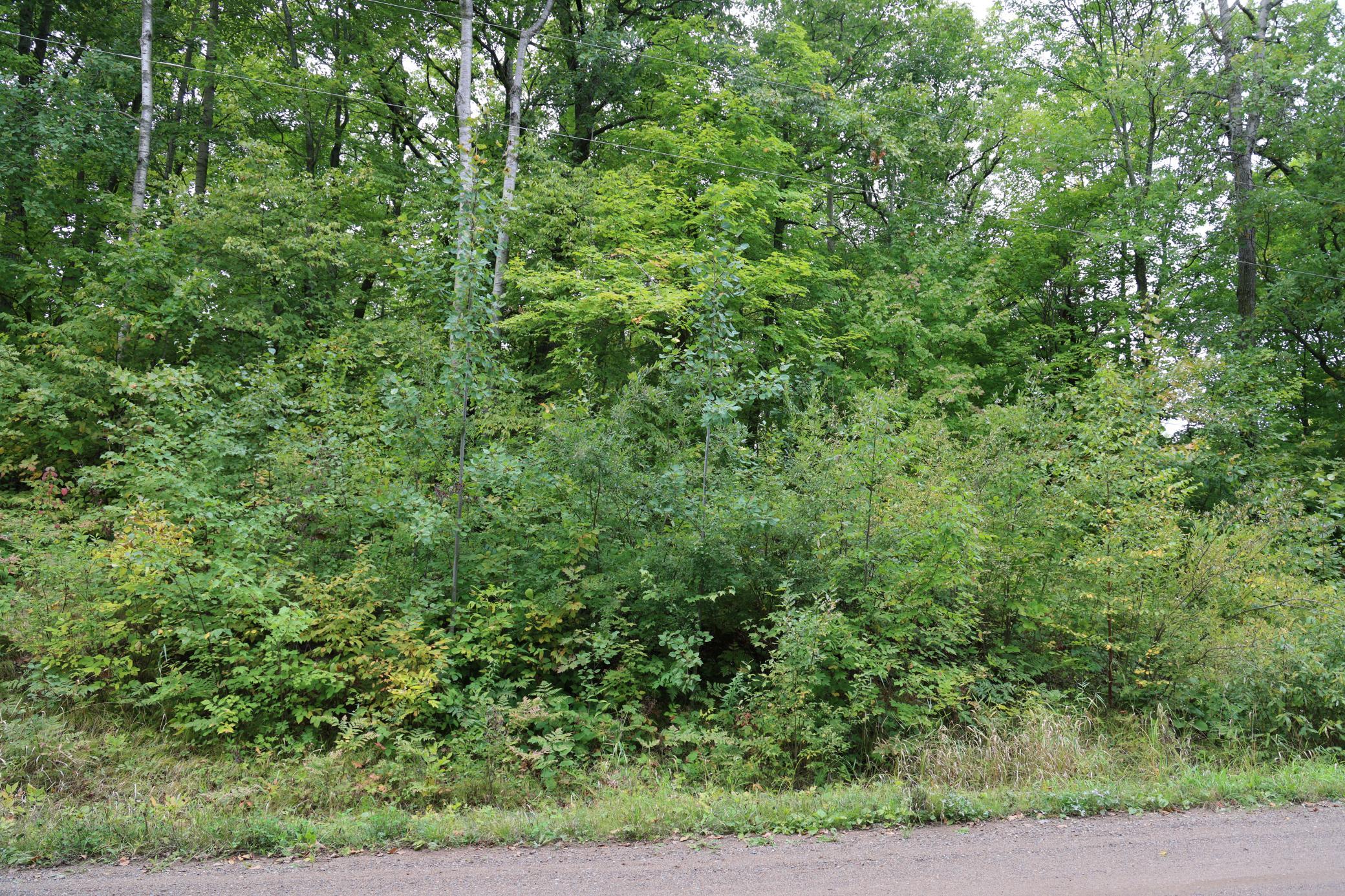 Photo 4 of Land for sale at 468xx Sugarbrush Cir, Garrison, MN 56450 | MLS# 7146603 | Listing updated on 2026-09-21