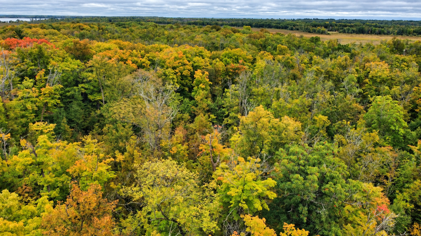 Photo 1 of Land for sale at Lot 12 Beaver Dr, Brainerd, MN 56401 | MLS# 7146625 | Listing updated on 2026-09-21