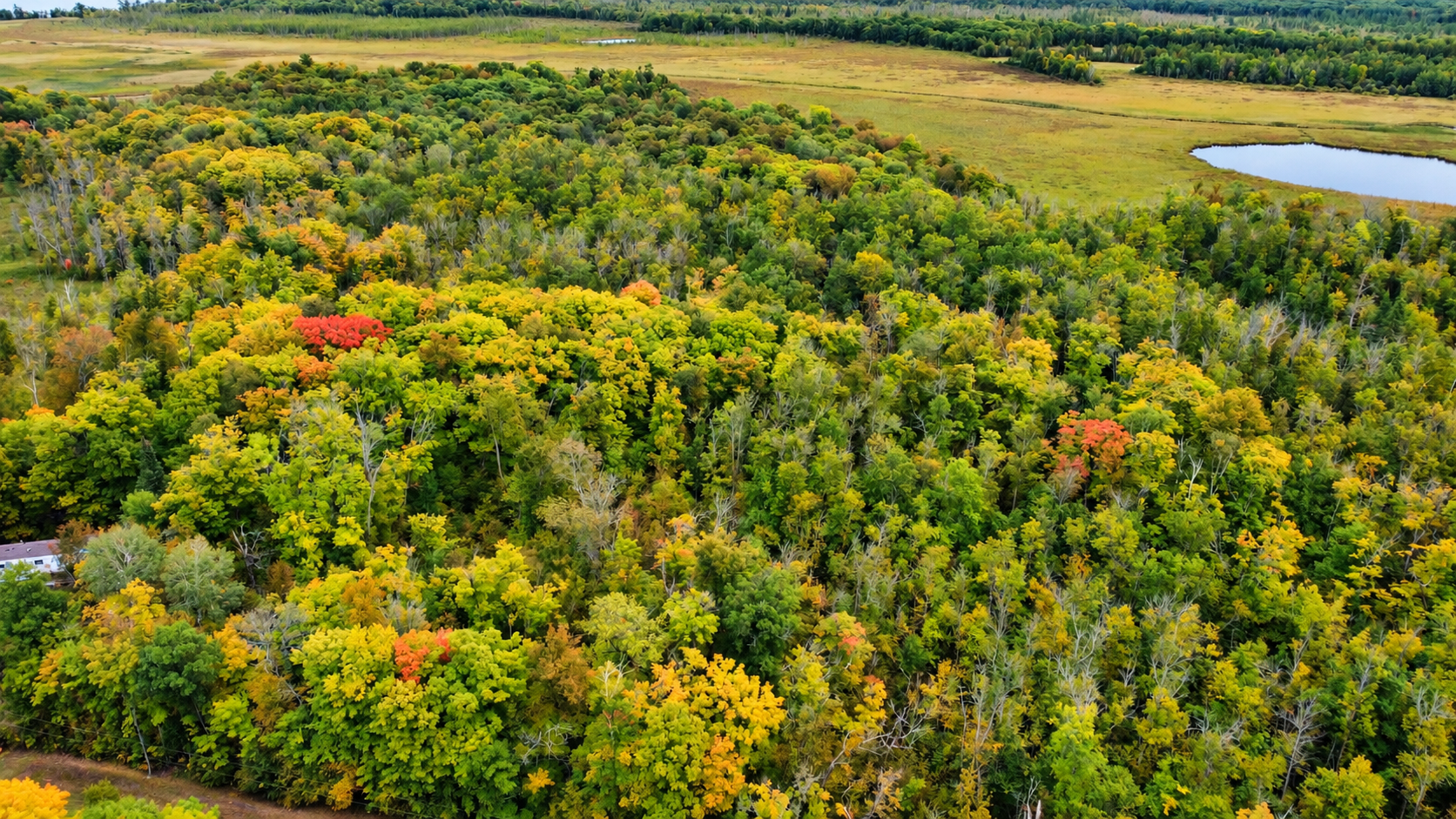 Photo 2 of Land for sale at Lot 12 Beaver Dr, Brainerd, MN 56401 | MLS# 7146625 | Listing updated on 2026-09-21
