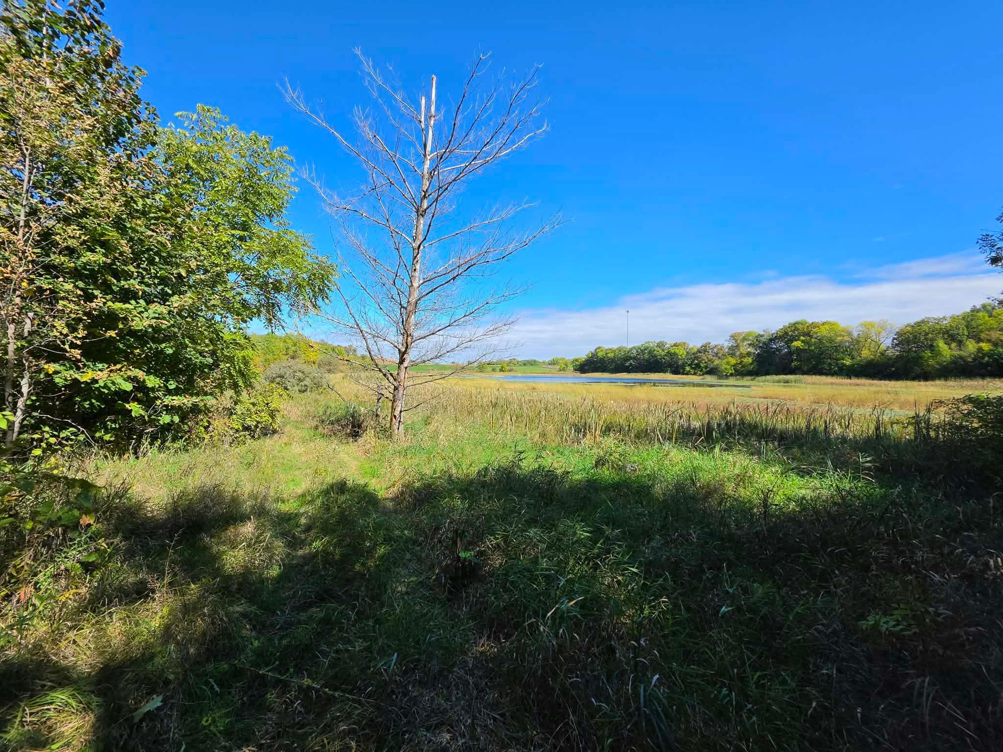 Photo 4 of Land for sale at Tbd Pleasant Lake Trl, Sverdrup Twp, MN 56586 | MLS# 7150034 | Listing updated on 2026-09-24
