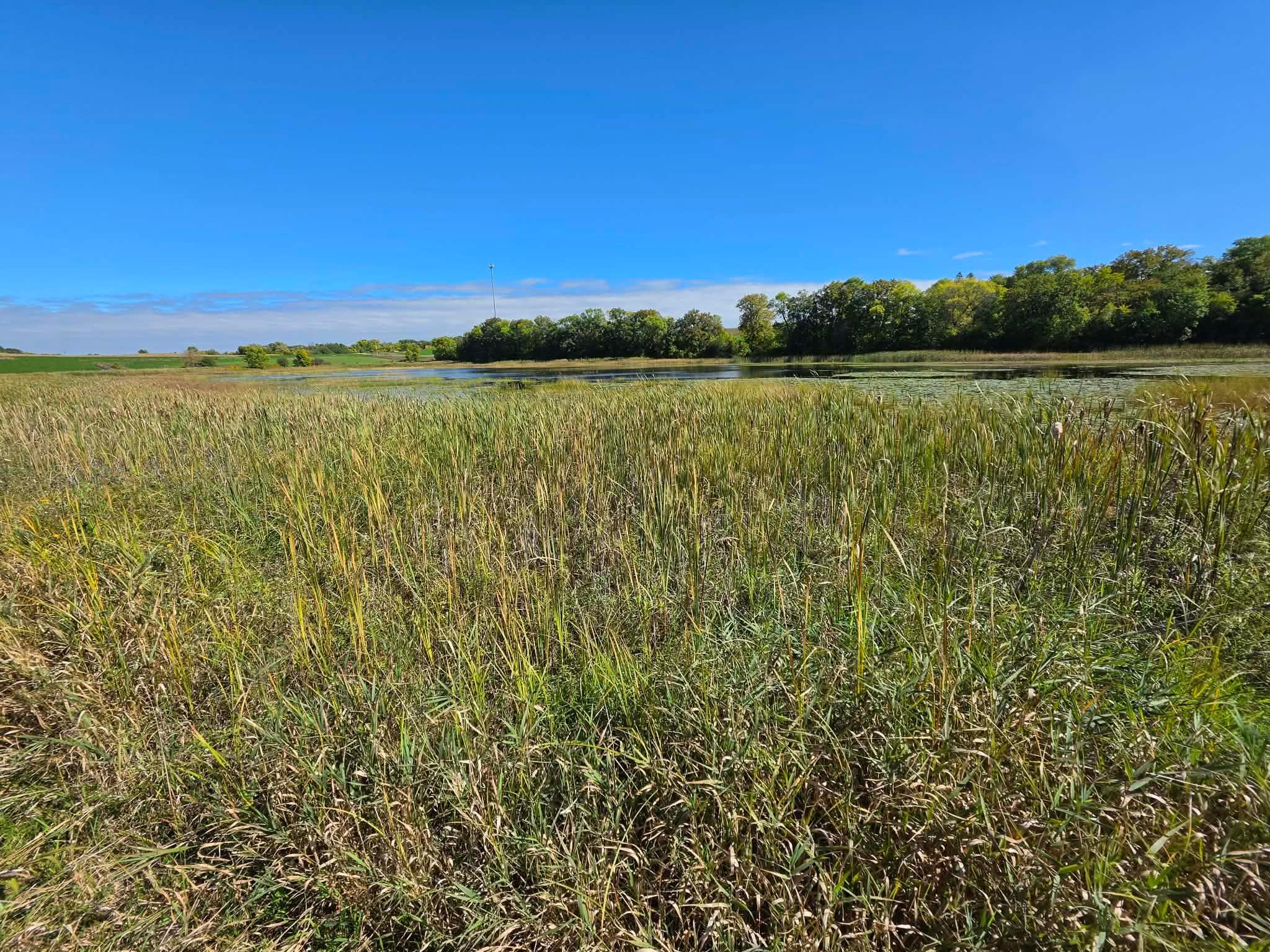 Photo 1 of Land for sale at Tbd Pleasant Lake Trl, Sverdrup Twp, MN 56586 | MLS# 7150034 | Listing updated on 2026-09-24