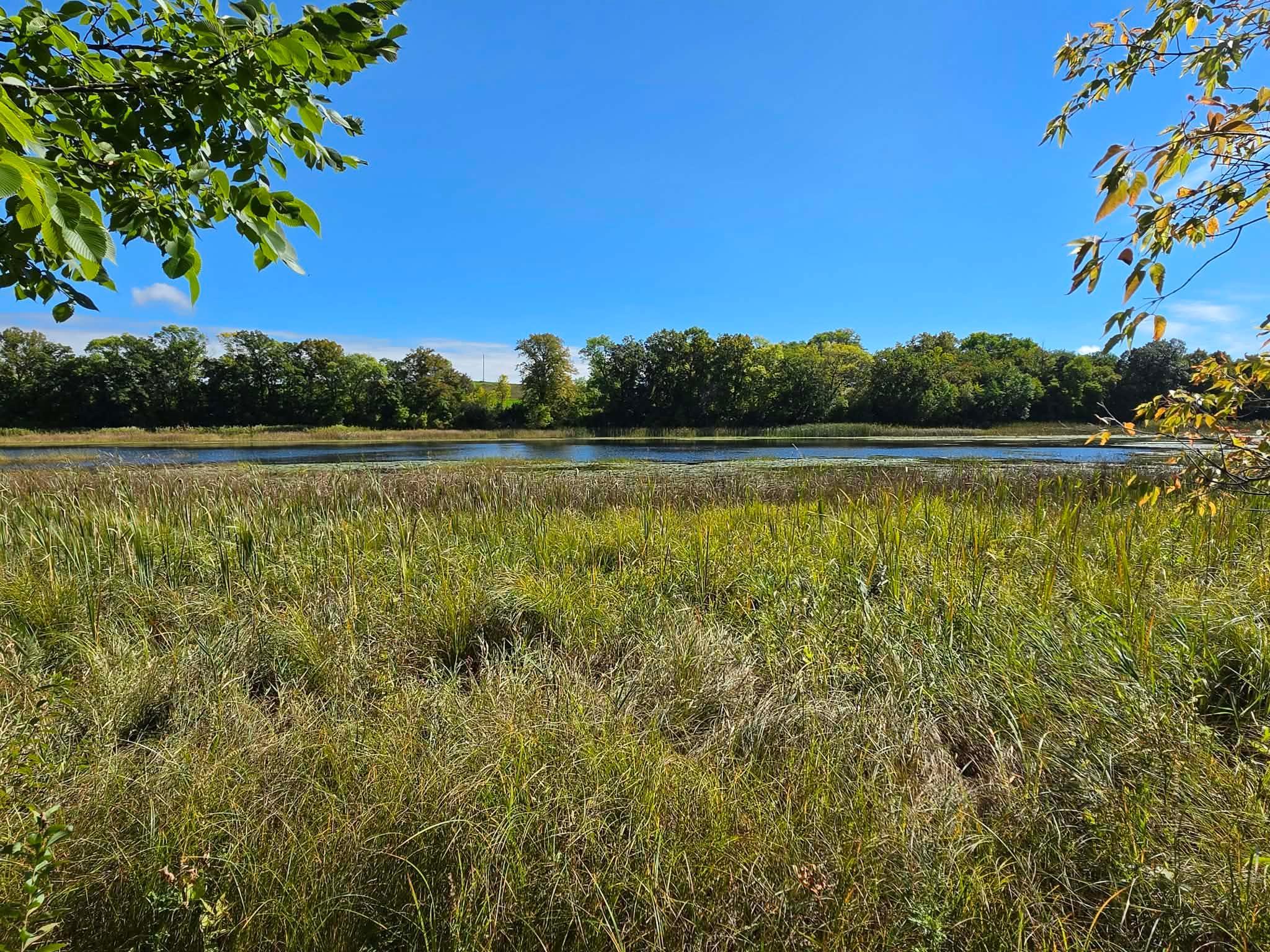 Land for sale at Tbd Pleasant Lake Trl, Sverdrup Twp, MN 56586 | MLS# 7150034 | Listing updated on 2026-09-24
