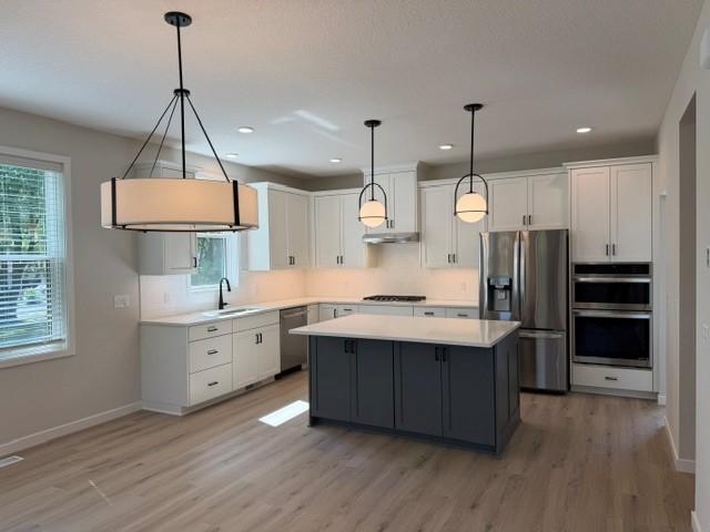 Single family home for sale at 4801 Baker Reserve Ln, Maple Plain, MN 55359 | MLS# 7161786