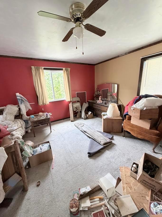 Photo 4 of Sale Pending at 100 W 8th Street, Starbuck, MN 56381 | MLS# 7162300 | Listing updated on 2026-10-23