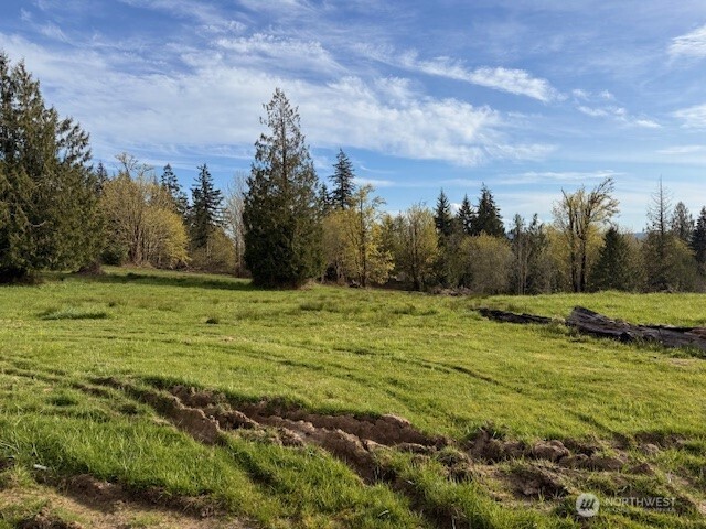 Photo 4 of Land for sale at 0 Grimm Rd, Kelso, WA 98626 | MLS# NWM2503294 | Listing updated on 2026-09-21