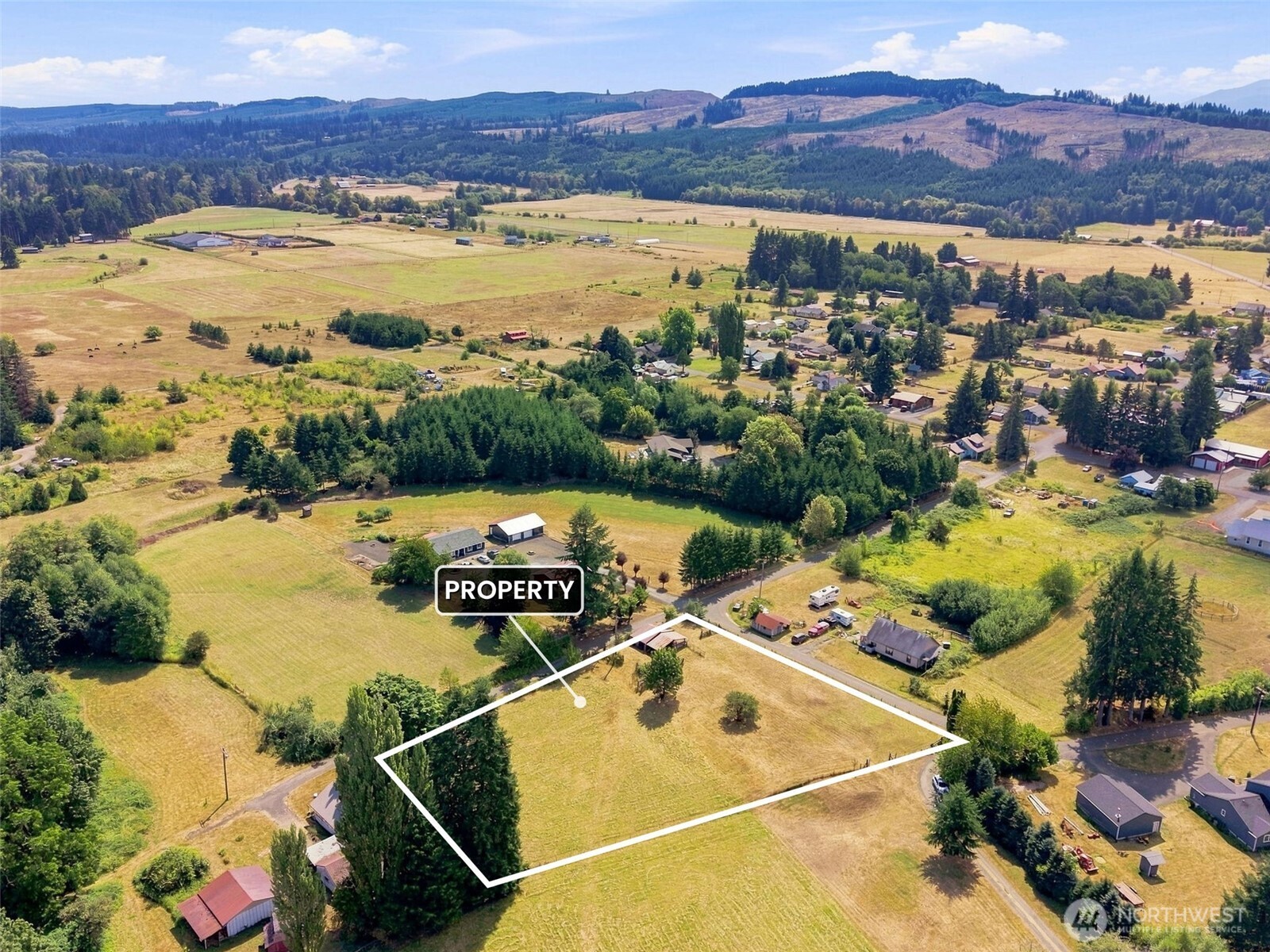 Photo 4 of Land for sale at 0 Cedar, Doty, WA 98539 | MLS# NWM2570604 | Listing updated on 2026-09-21
