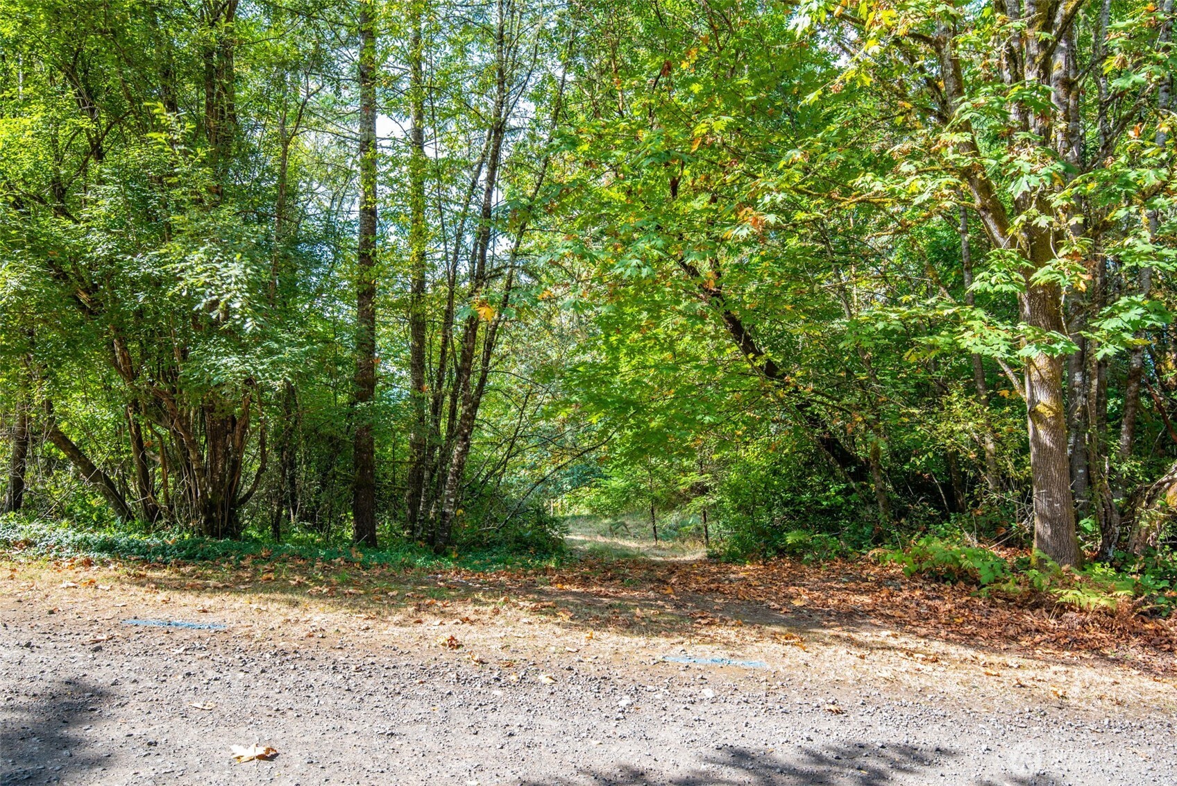 Land for sale at 12406 114th Avenue NW, Gig Harbor, WA 98329 | MLS# NWM2586780