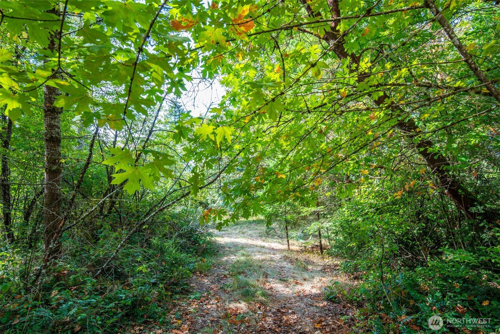 Photo 2 of Land for sale at 12406 114th Avenue Nw, Gig Harbor, WA 98329 | MLS# NWM2586780 | Listing updated on 2026-09-24