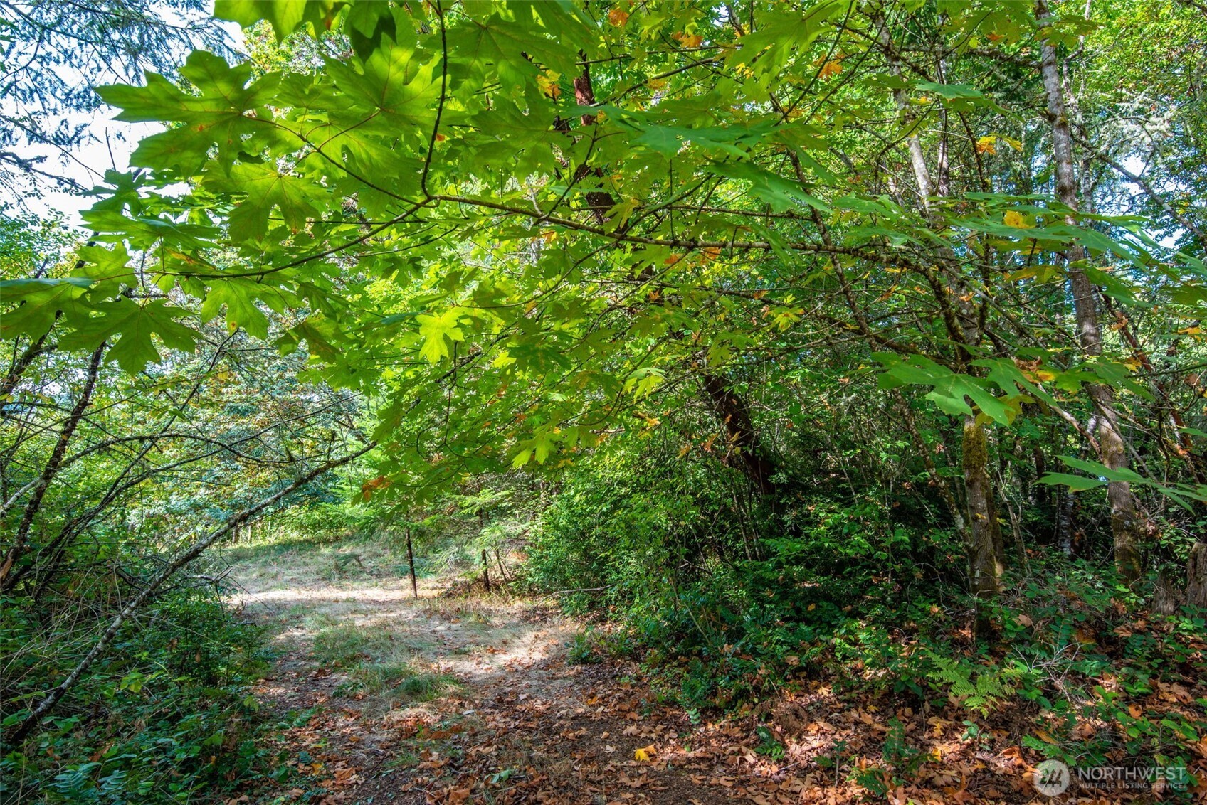 Photo 3 of Land for sale at 12406 114th Avenue Nw, Gig Harbor, WA 98329 | MLS# NWM2586780 | Listing updated on 2026-09-24