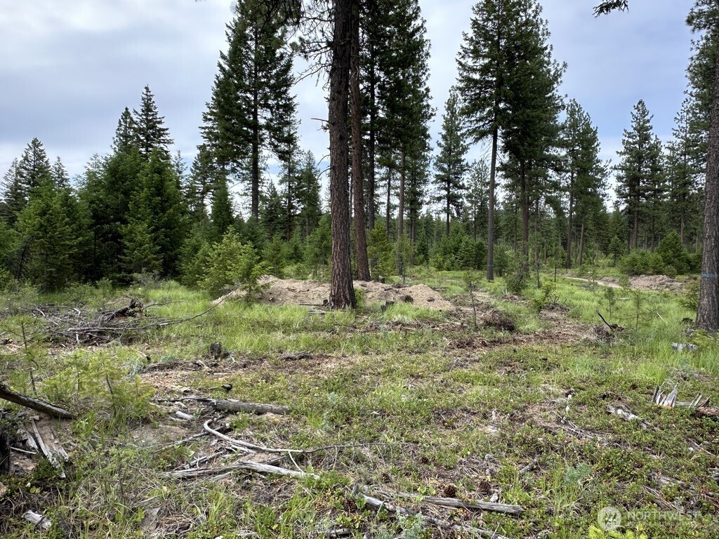 Photo 2 of Land for sale at 3600 Sherian Rd #Q, Republic, WA 99166 | MLS# NWM2586890 | Listing updated on 2026-09-24