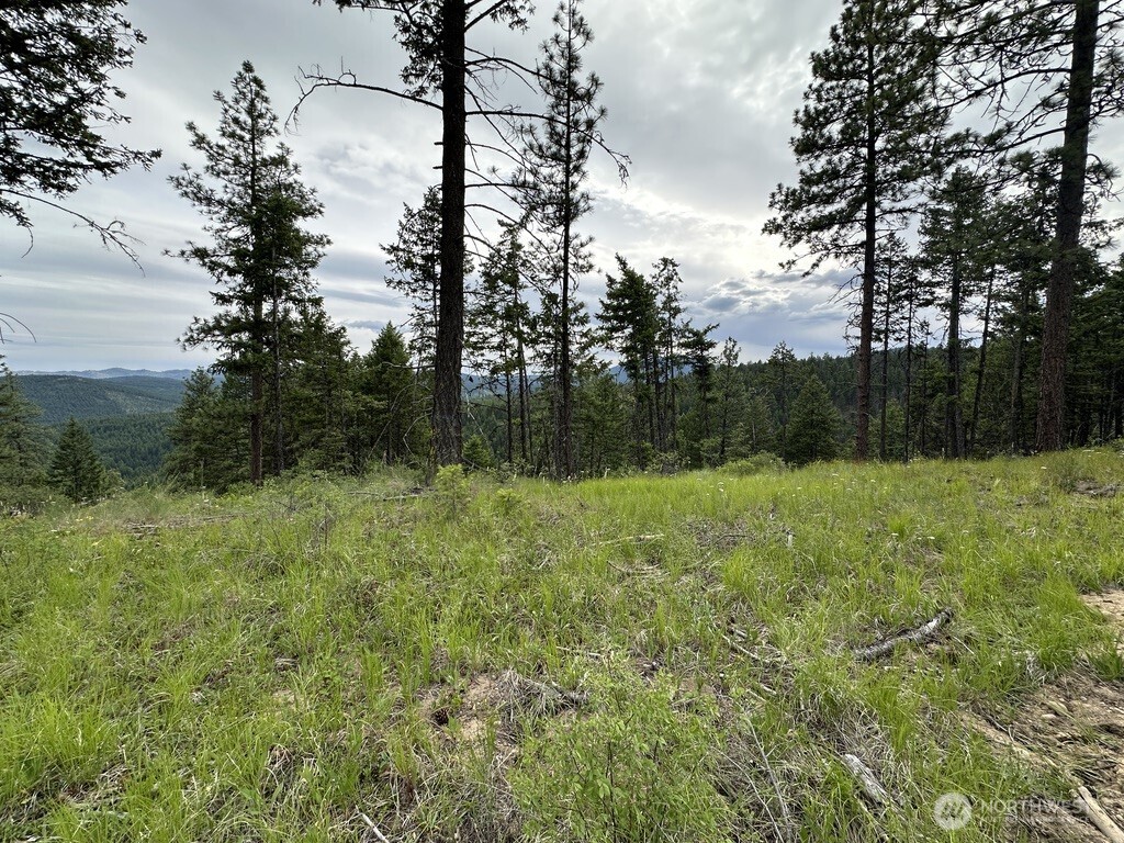 Photo 4 of Land for sale at 3600 Sherian Rd #Q, Republic, WA 99166 | MLS# NWM2586890 | Listing updated on 2026-09-24