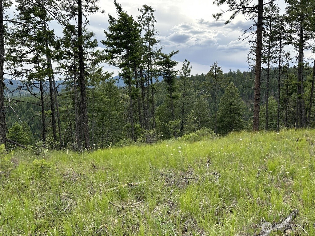 Photo 1 of Land for sale at 3600 Sherian Rd #Q, Republic, WA 99166 | MLS# NWM2586890 | Listing updated on 2026-09-24