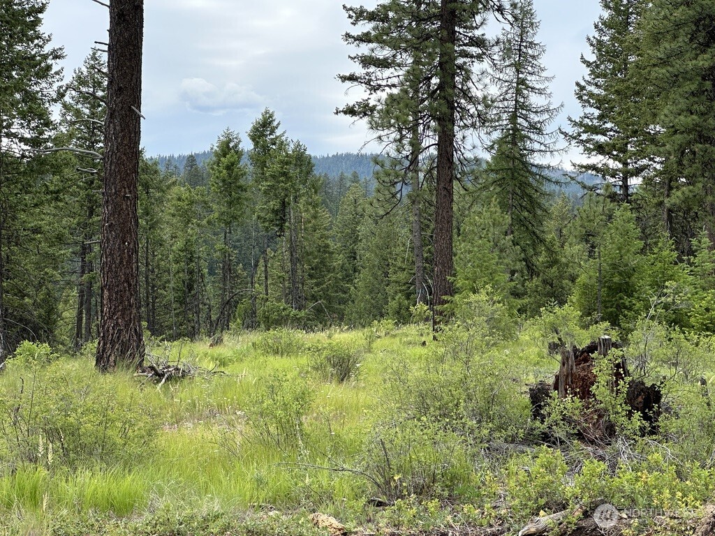 Photo 3 of Land for sale at 3600 Sherian Rd #Q, Republic, WA 99166 | MLS# NWM2586890 | Listing updated on 2026-09-24