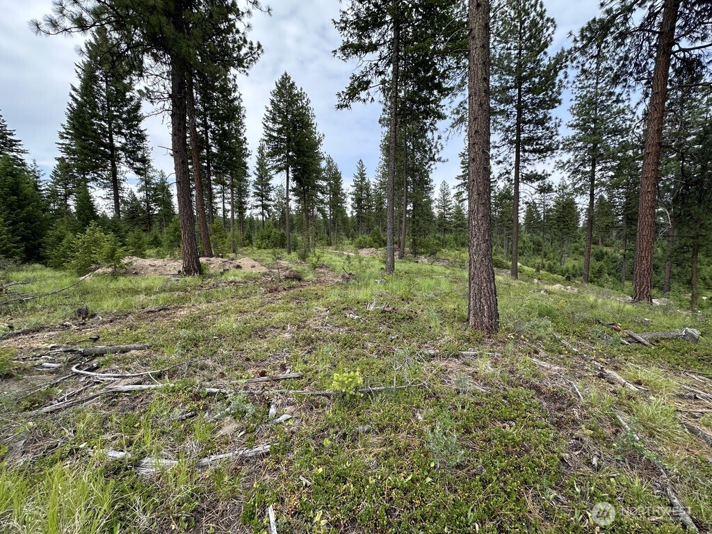 Photo 3 of Land for sale at 3600 Sherian Rd #Q, Republic, WA 99166 | MLS# NWM2586890 | Listing updated on 2026-09-24