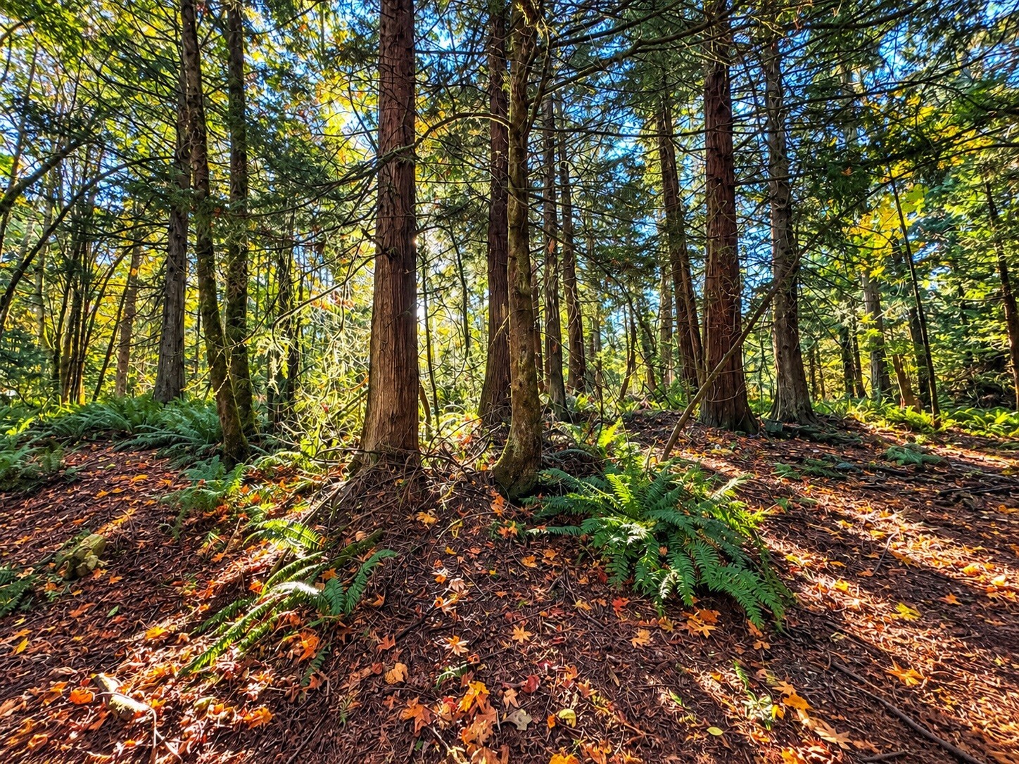 Photo 2 of Land for sale at 0 Nevada Ave E, Port Orchard, WA 98366 | MLS# NWM2596431 | Listing updated on 2026-10-25
