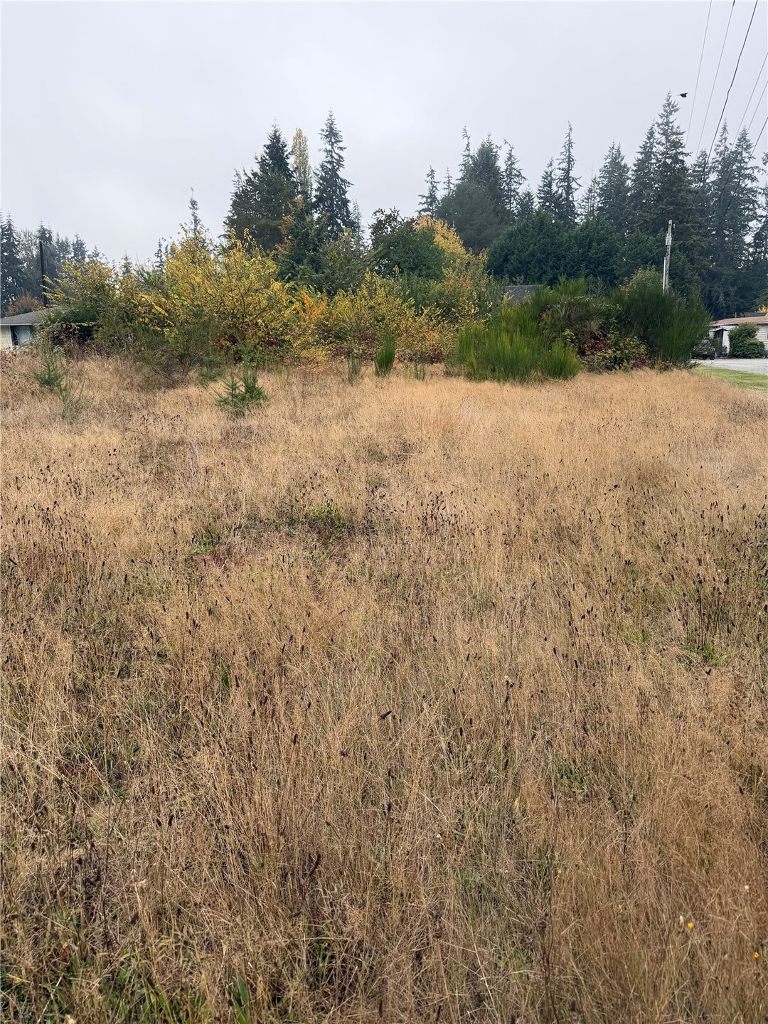 Land for sale at 18026 Smokey Point Blvd, Arlington, WA 98223 | MLS# NWM2597774