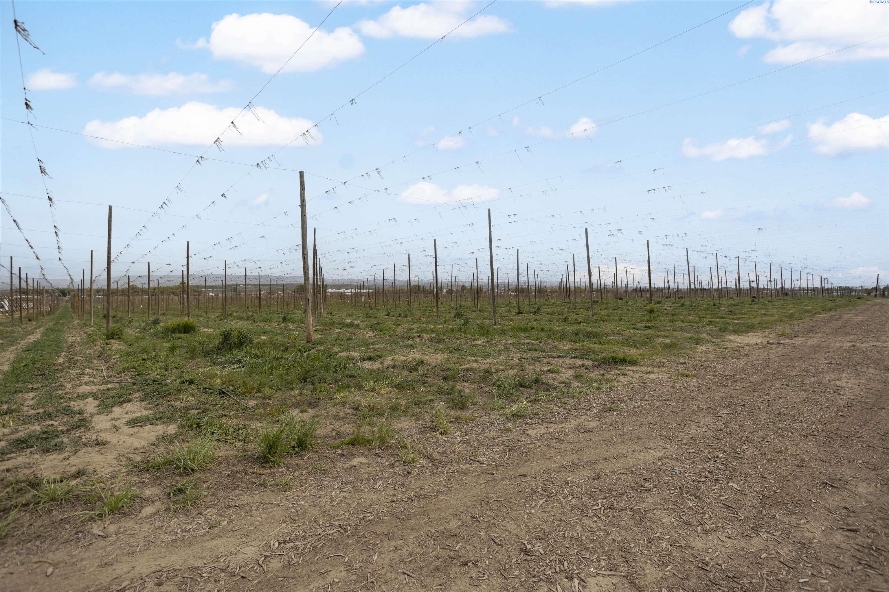 Photo 3 of Land for sale at Tbd Puterbaugh Rd/forsell Rd, Grandview, WA 98930 | MLS# PAC280419 | Listing updated on 2026-04-21