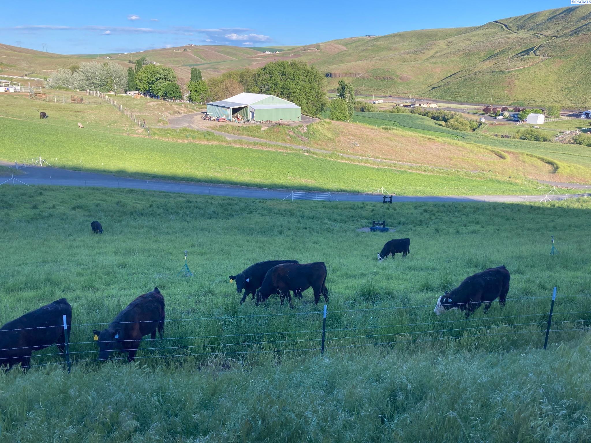 Photo 1 of Land for sale at Lot 10 Cactus Ln, Lewiston, ID 83501 | MLS# PAC281742 | Listing updated on 2026-10-02