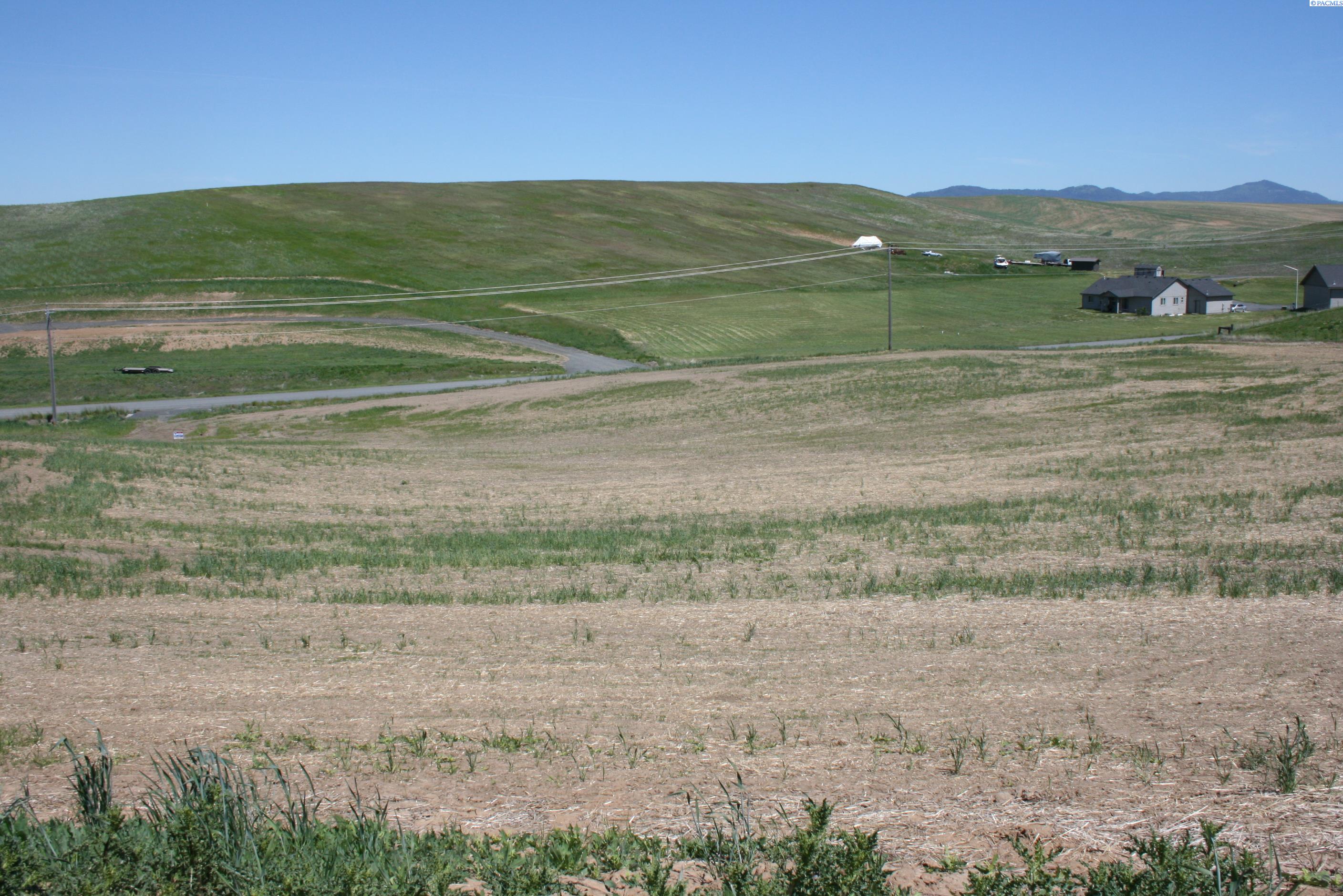 Land for sale at 1491 Orville Boyd Rd, Pullman, WA 99163 | MLS# PAC284549