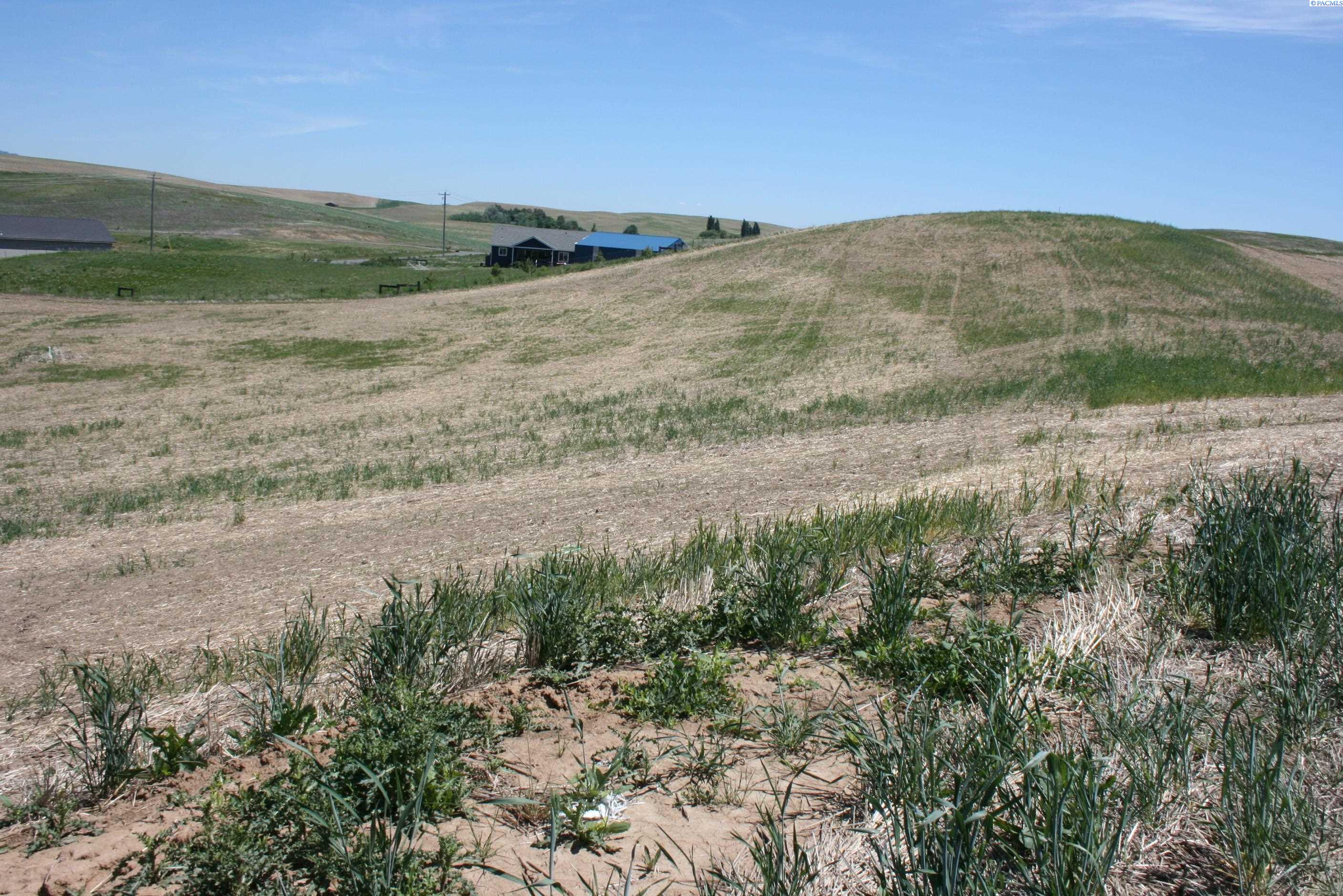 Photo 3 of Land for sale at 1491 Orville Boyd Rd, Pullman, WA 99163 | MLS# PAC284549 | Listing updated on 2026-06-08