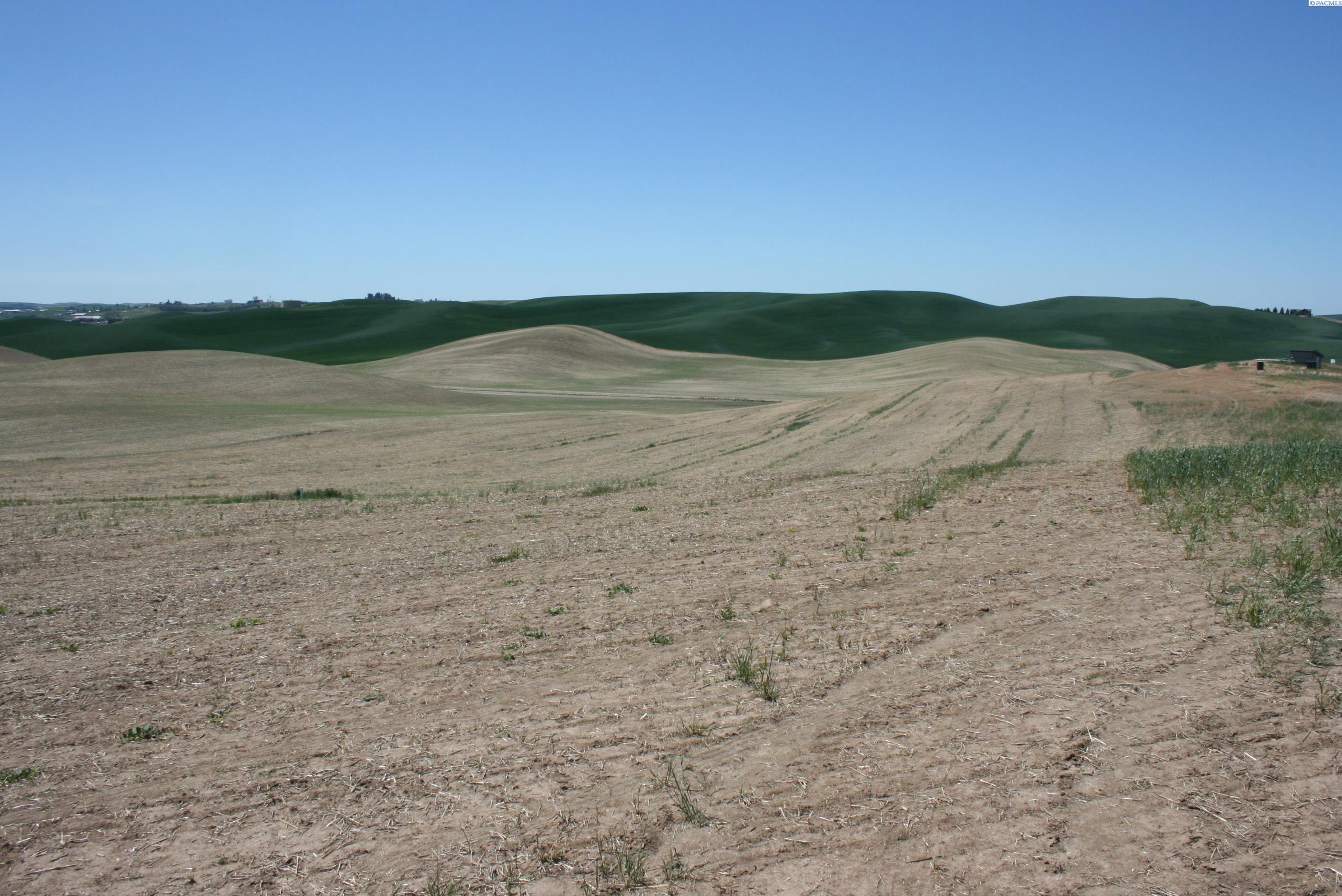Land for sale at 11 Golden Wheat Ln, Pullman, WA 99163 | MLS# PAC284552