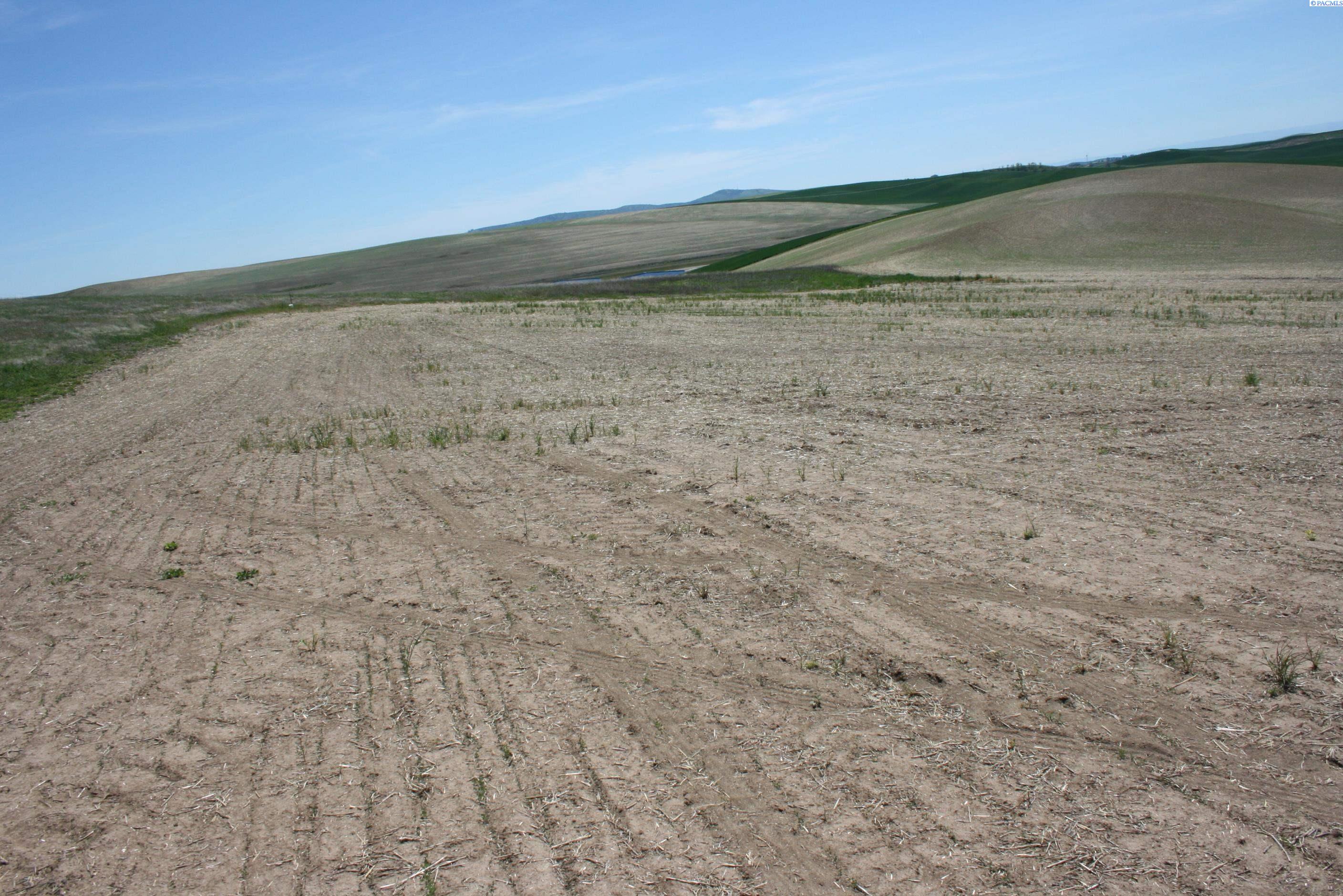 Photo 3 of Land for sale at 11 Golden Wheat Ln, Pullman, WA 99163 | MLS# PAC284552 | Listing updated on 2026-06-08