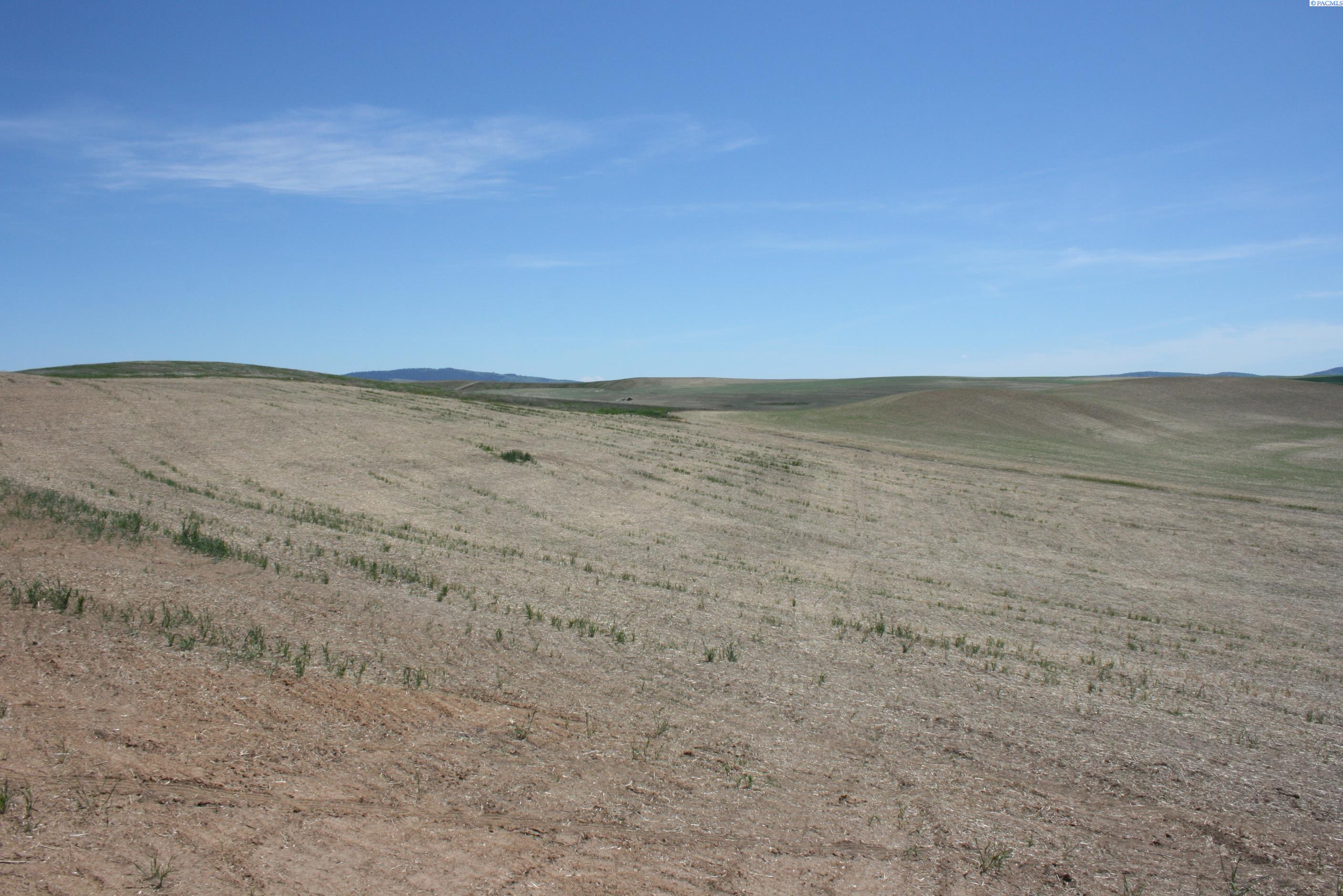 Photo 3 of Land for sale at 11 Golden Wheat Ln, Pullman, WA 99163 | MLS# PAC284552 | Listing updated on 2026-06-08