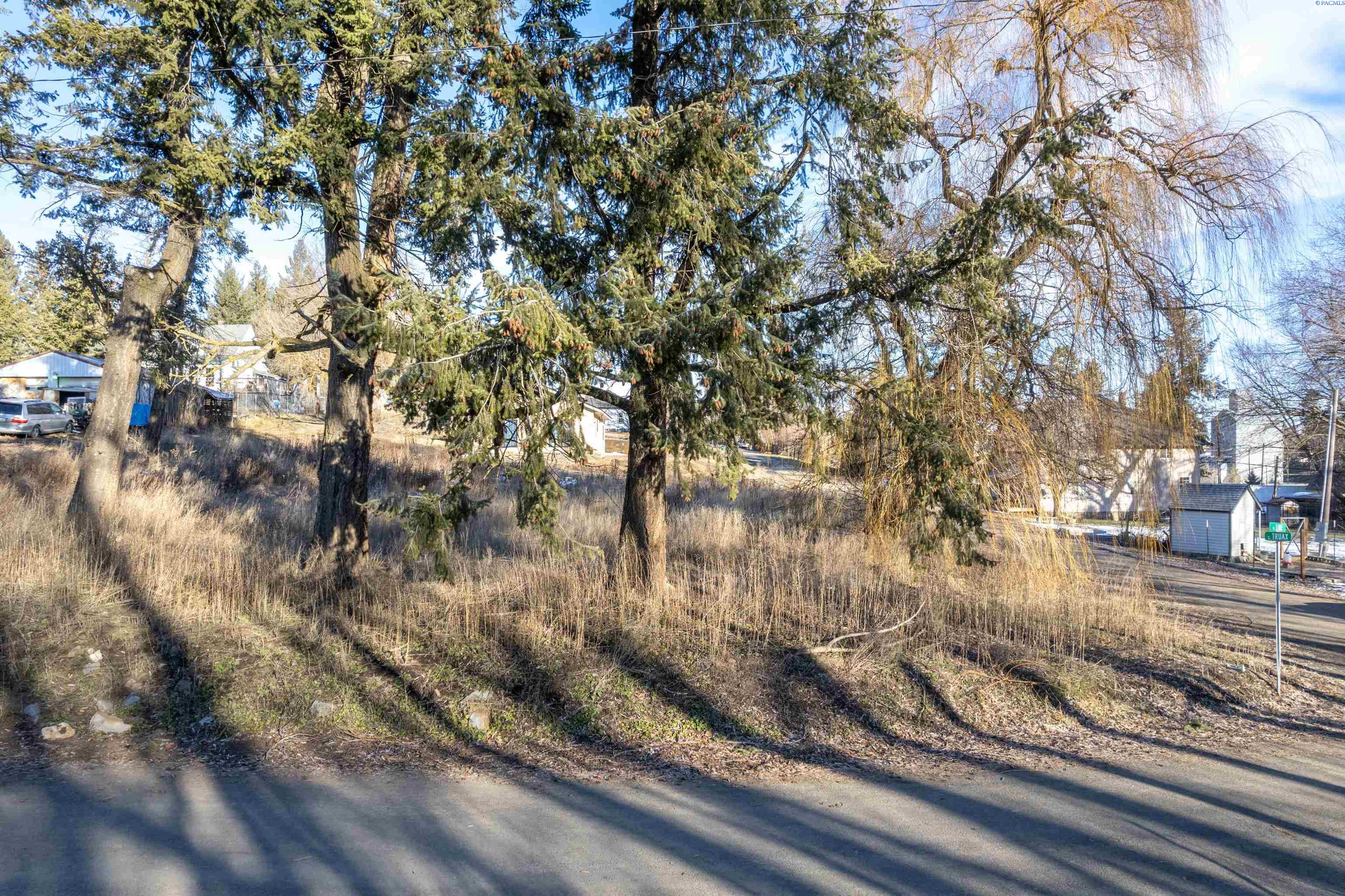 Photo 4 of Land for sale at Xxx Truax St, Tekoa, WA 99033 | MLS# PAC290204 | Listing updated on 2026-04-21