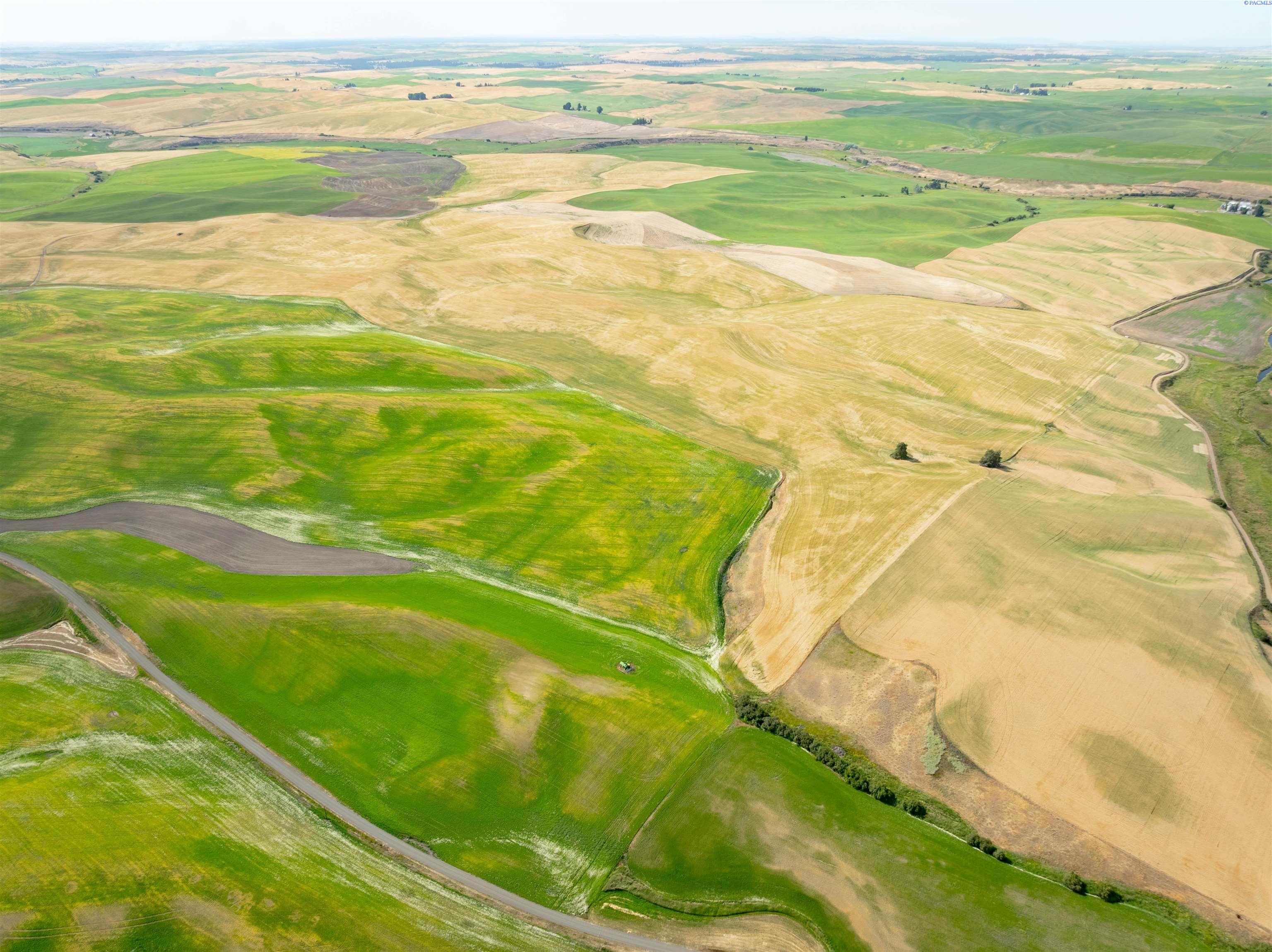 Photo 1 of Land for sale at Tbd Bongarts Rd, Oakesdale, WA 99158 | MLS# PAC290759 | Listing updated on 2026-09-26